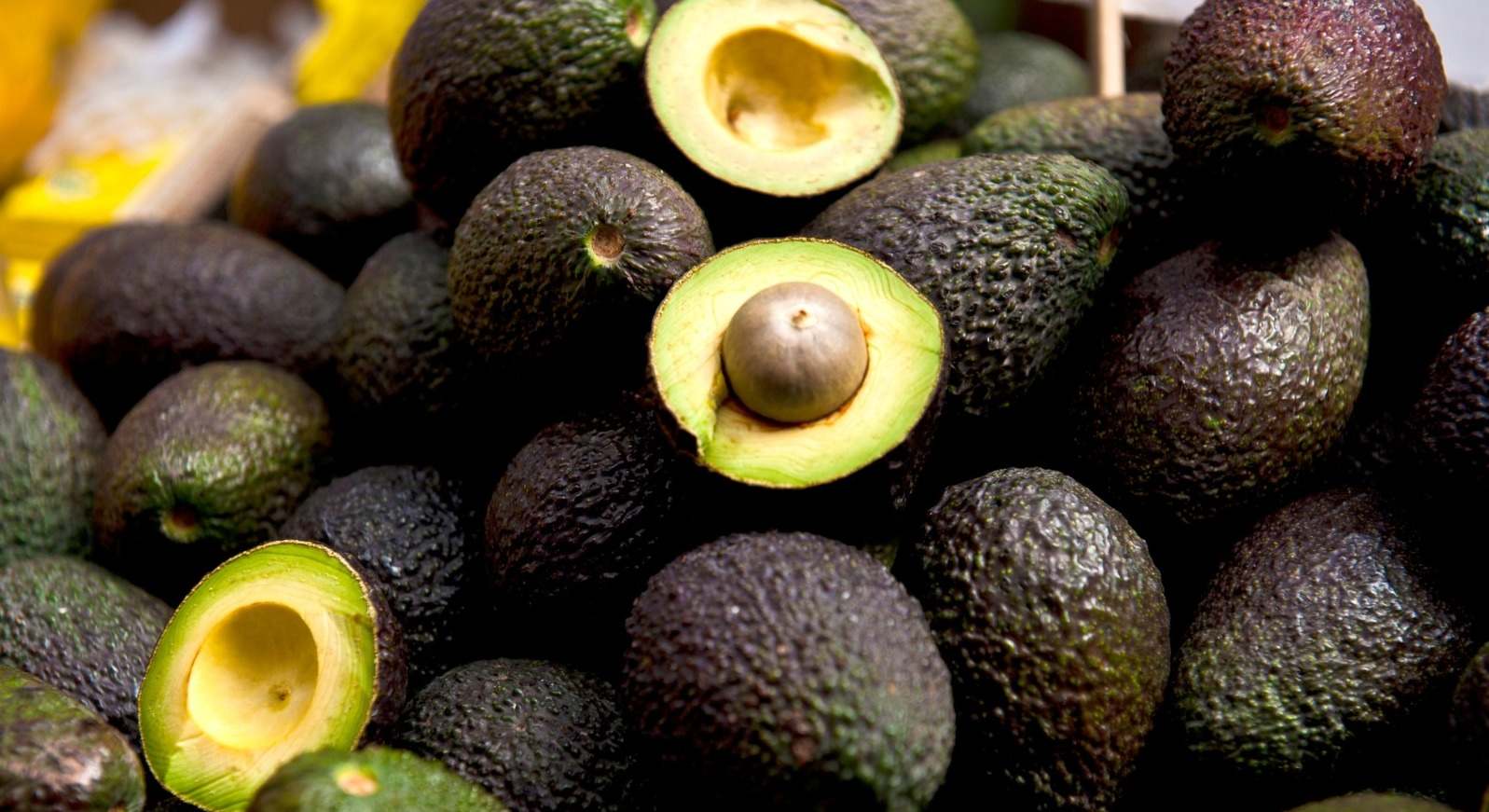 aguacates