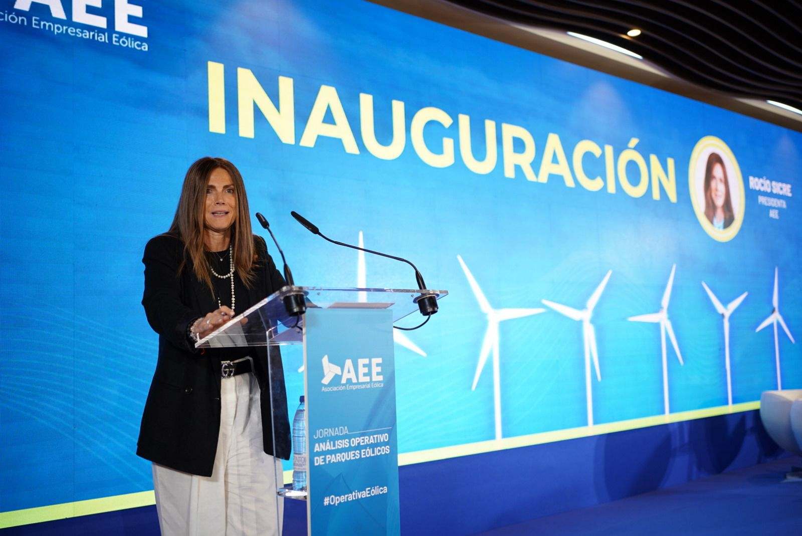 La presidenta de AEE, Rocio Sicre. AEE