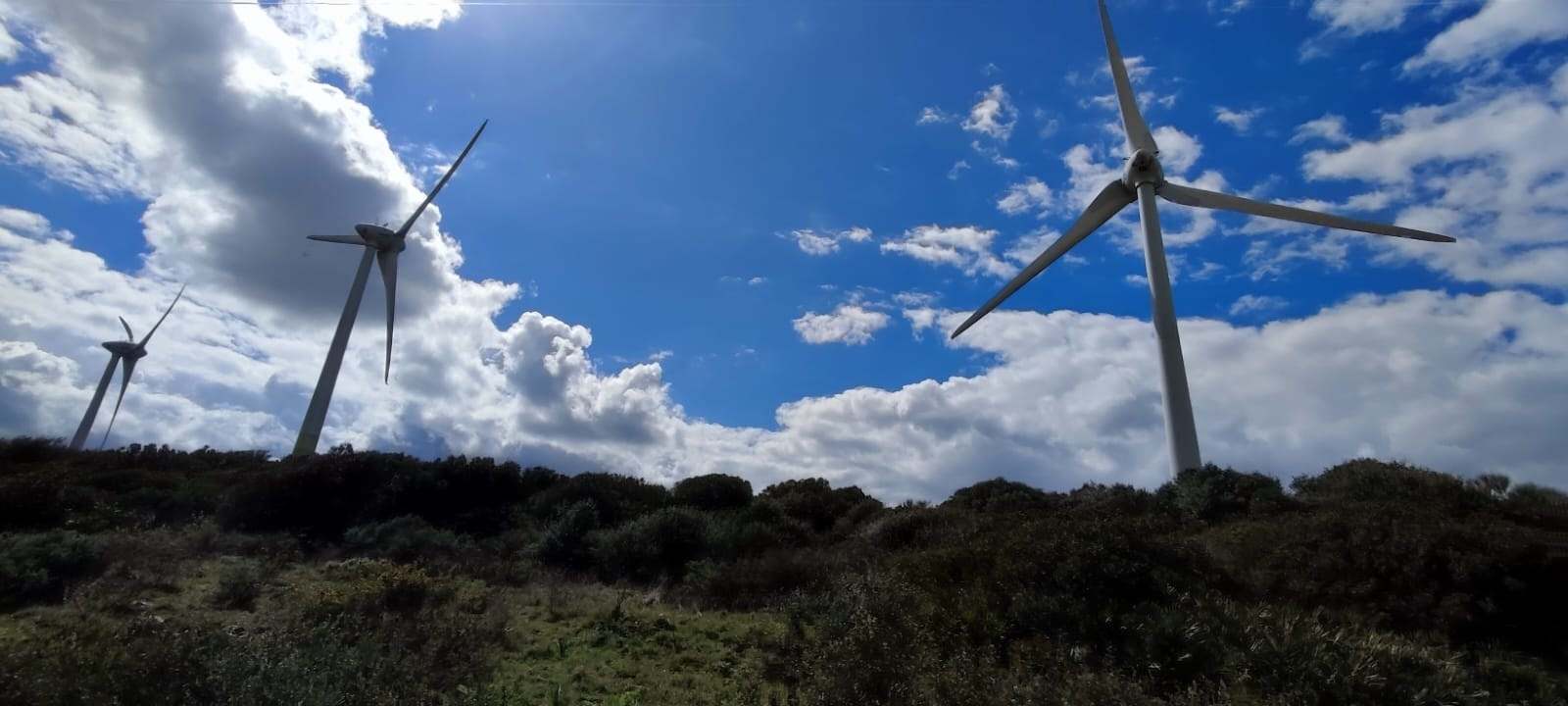 Molinos de viento / Europa Press