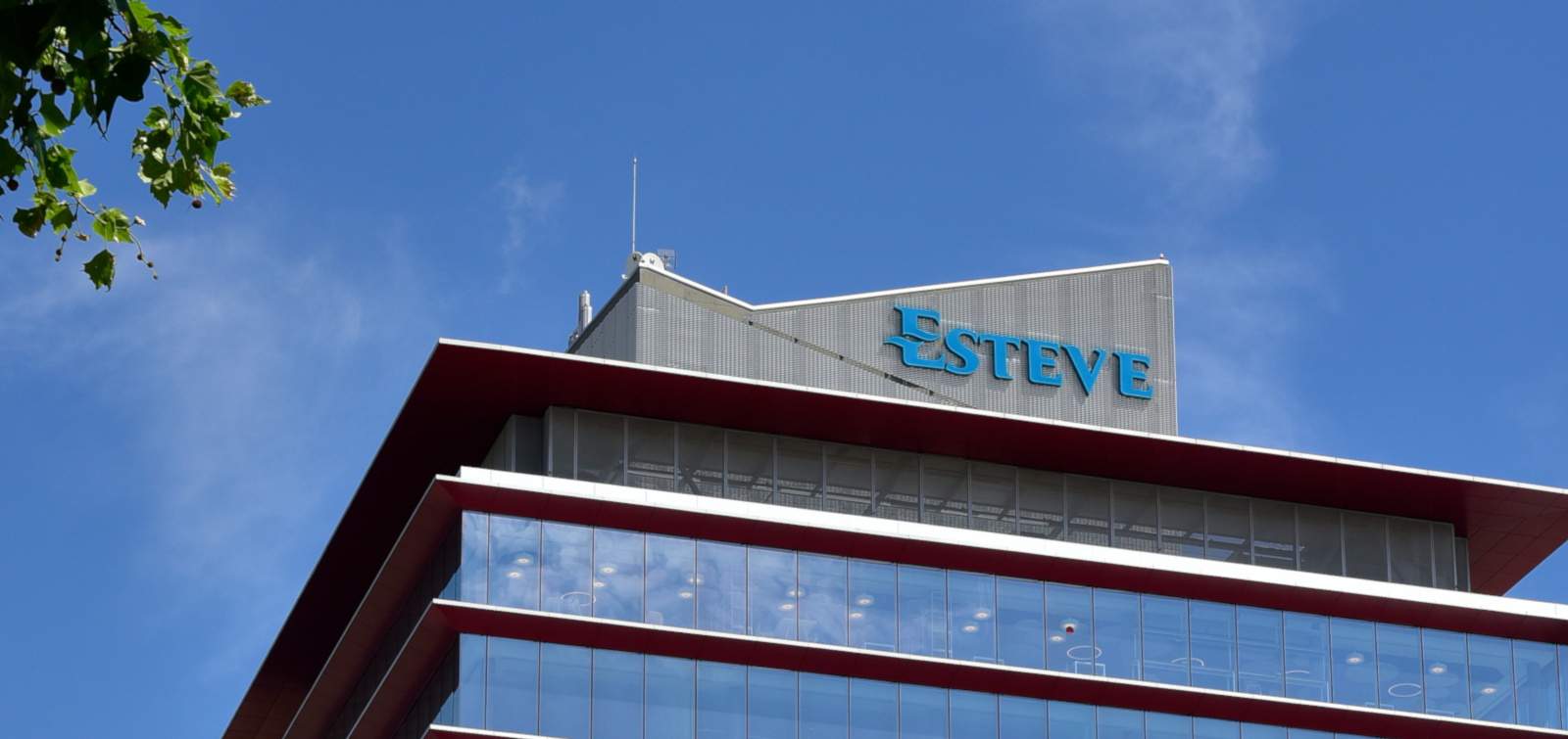 esteve.jpg