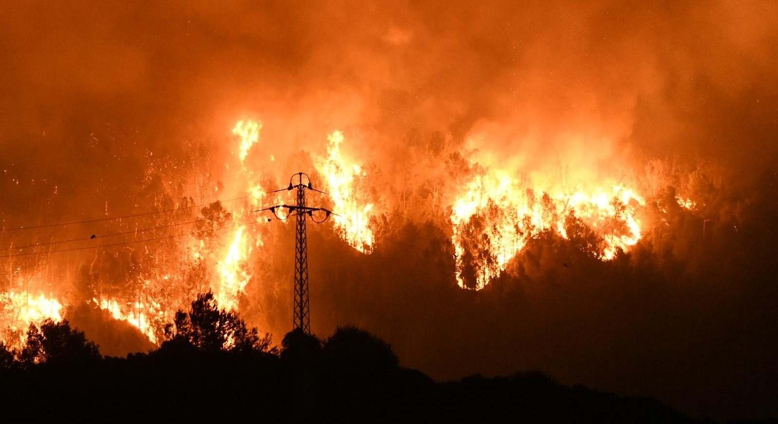 Imagen de archivo de un incendio forestal.