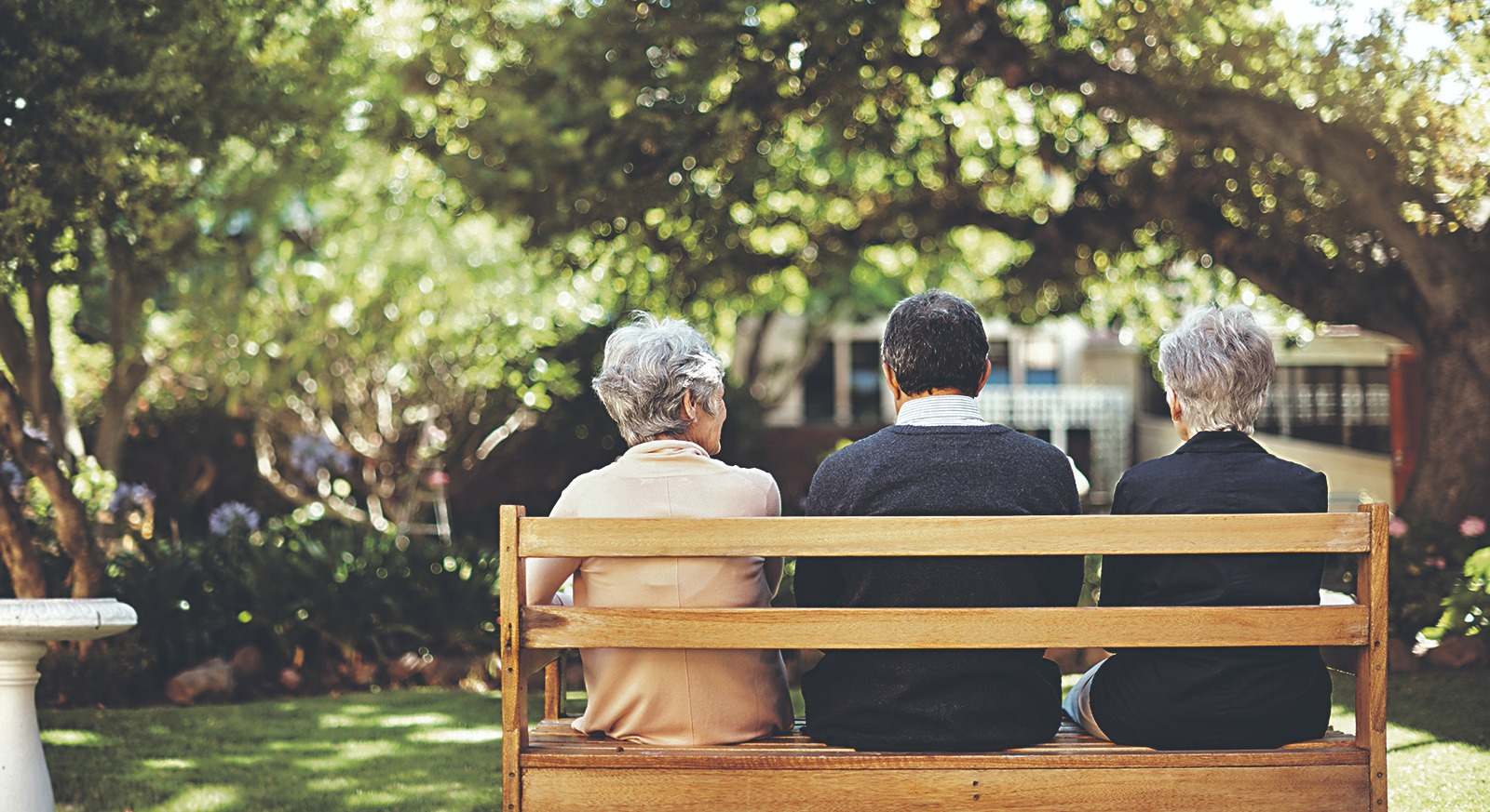 Servicios sociales ancianos