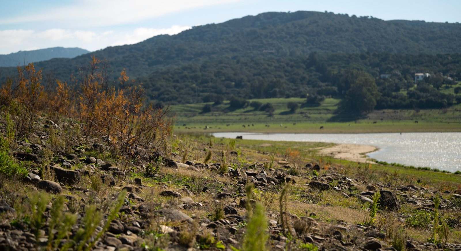 Pantano en la provincia de Cádiz. Fernando Ruso