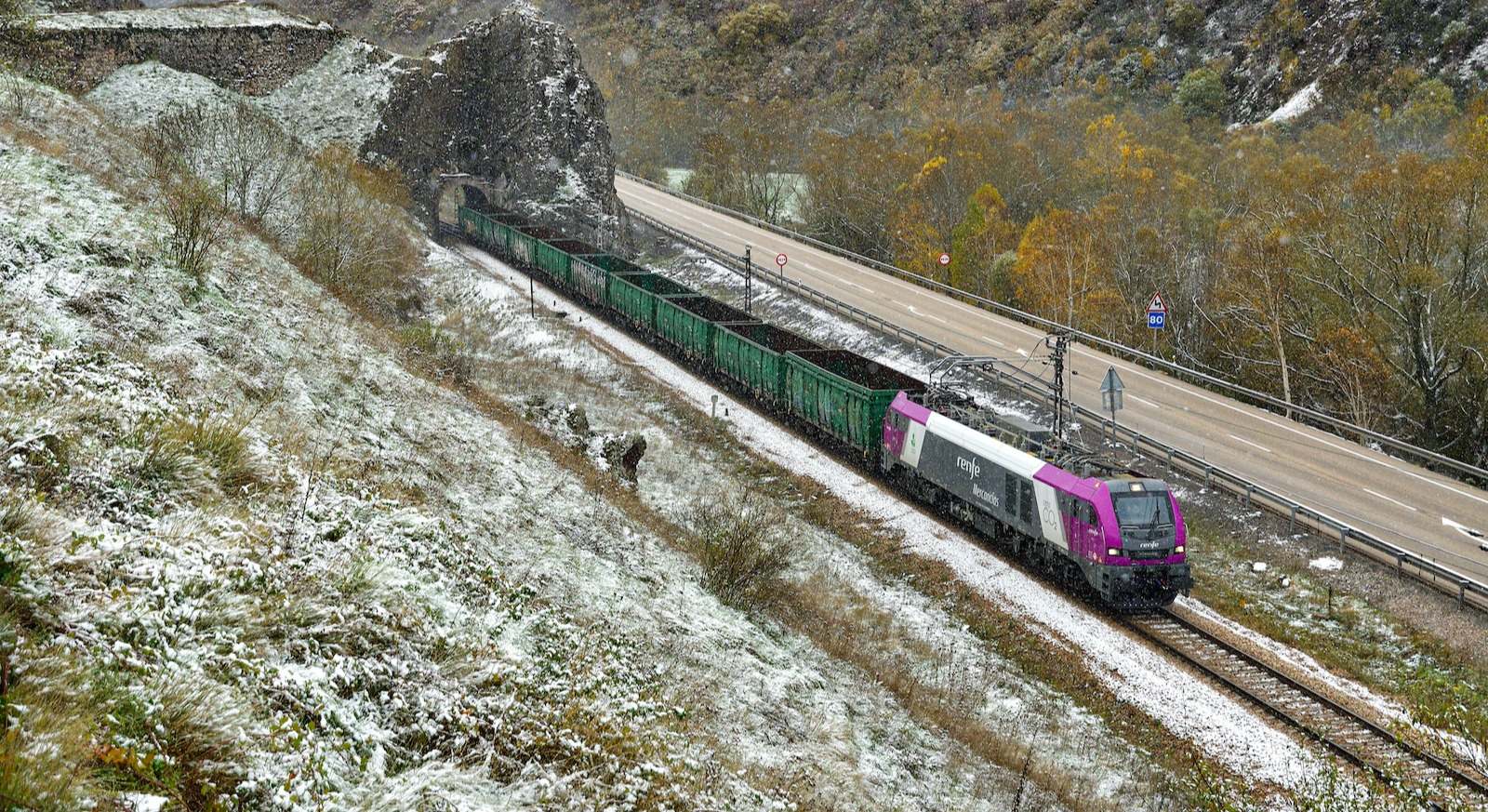 Tren de Renfe Mercancías. Foto: Cesare Sapienza