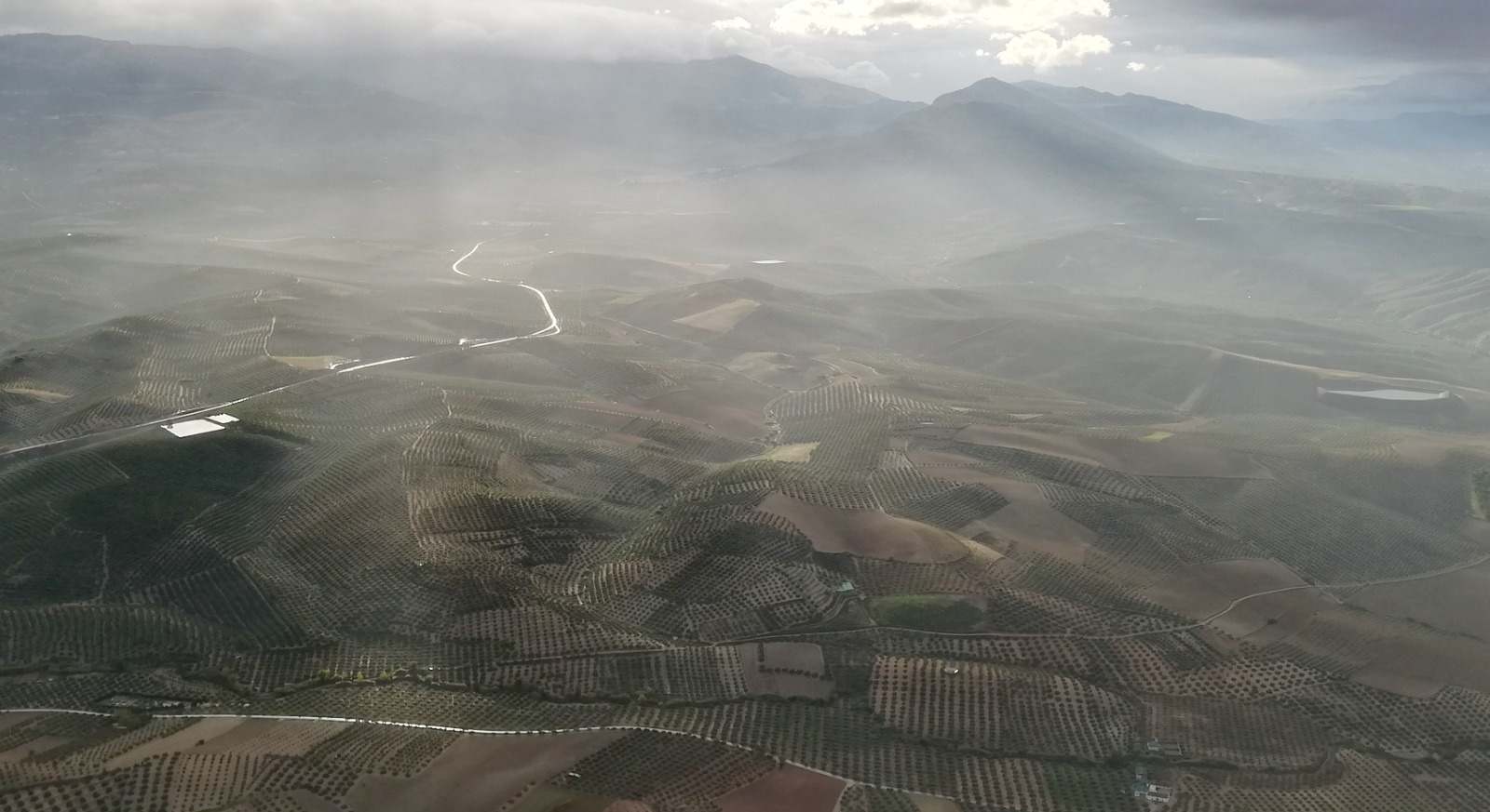 Paisaje de olivar en Jaén.
