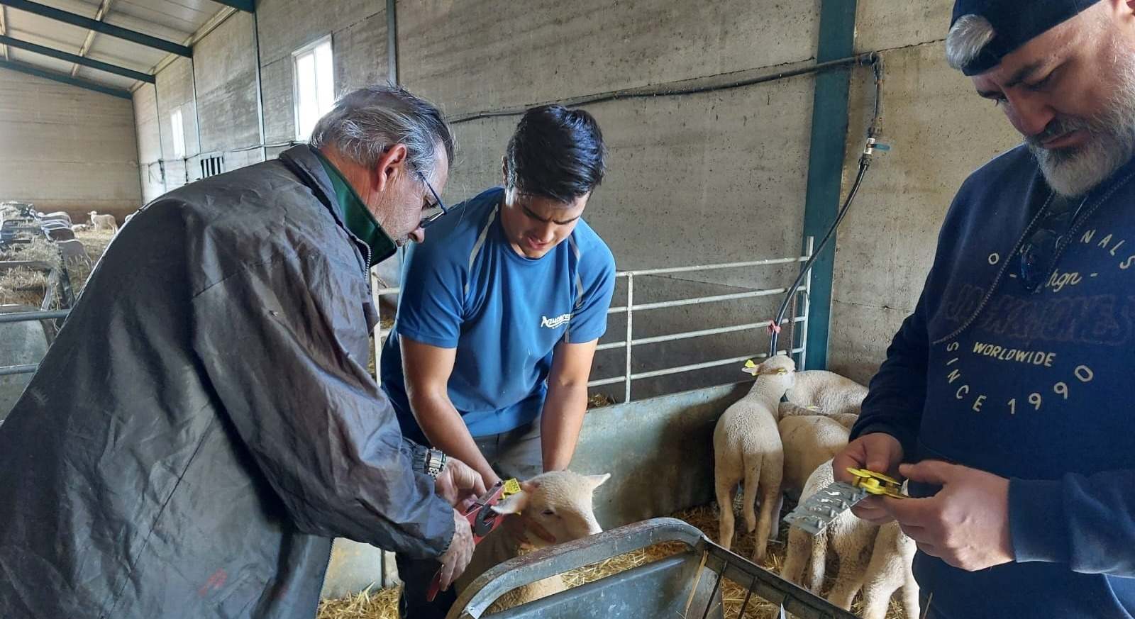 Componentes del Grupo Operativo Tomatho durante el estudio.
