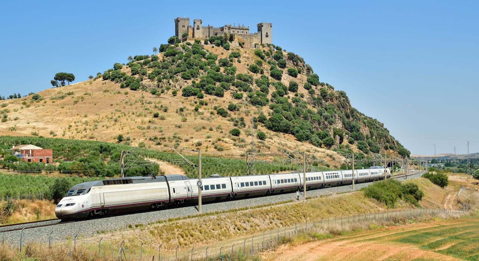 AVE de Renfe entre Sevilla y Madrid a su paso por Almodóvar del Río. / Foto: Cesare Sapienza