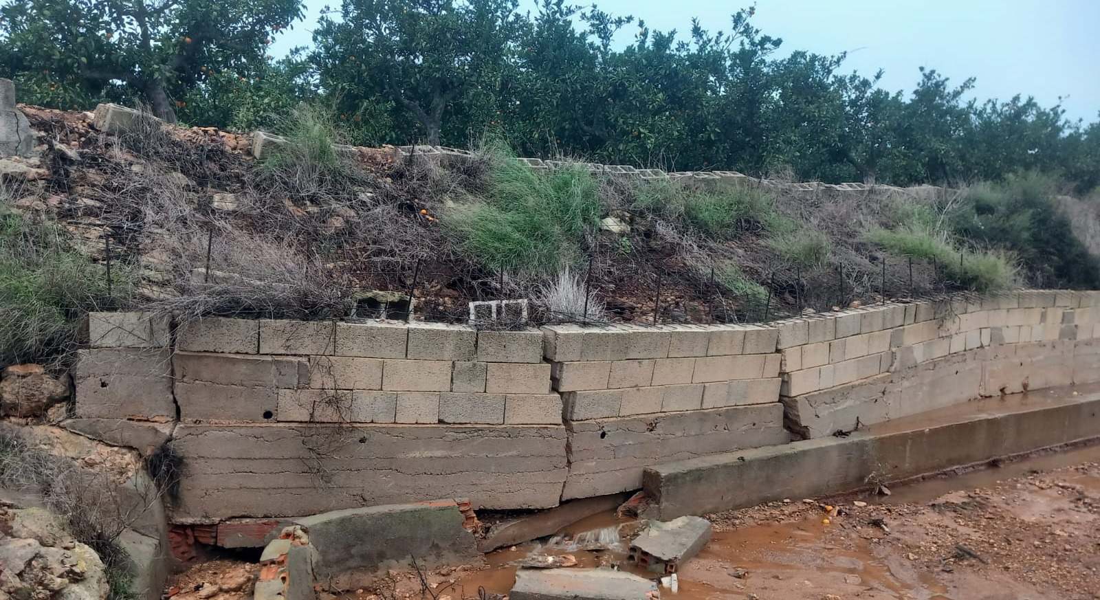 Daños en infraestructuras agrarias.