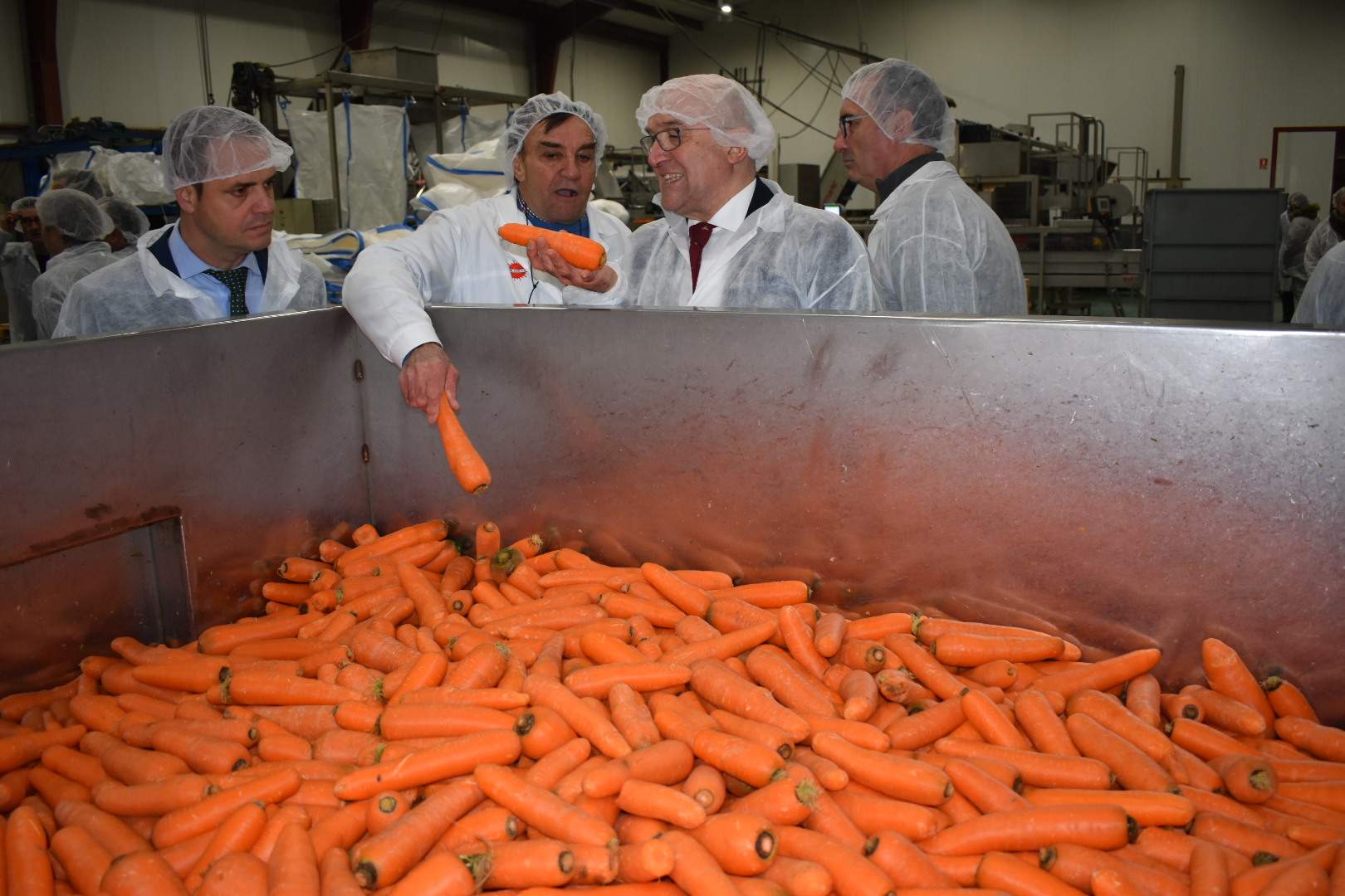 CarneroZanahorias.JPG