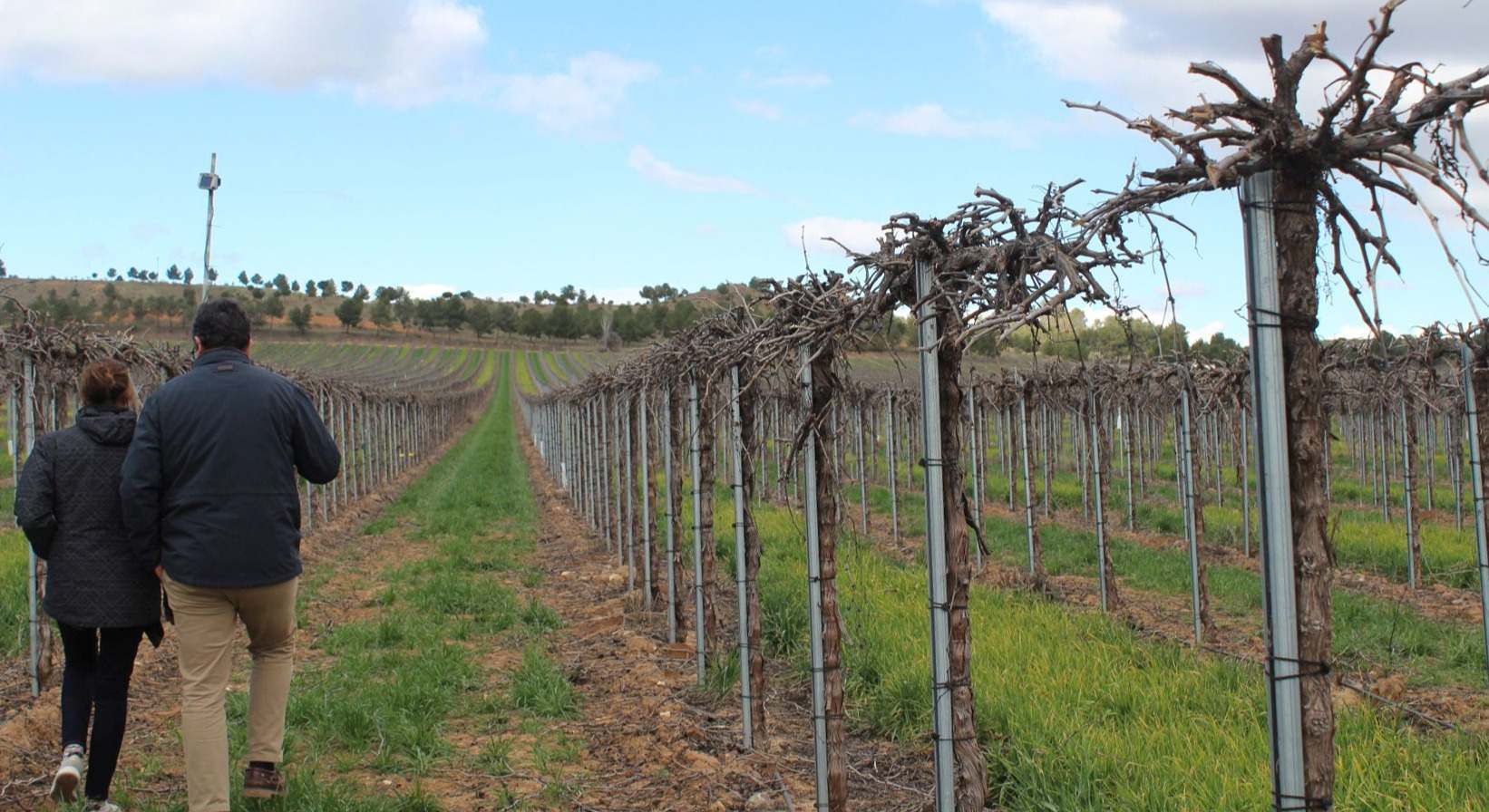 Finca Bergonza, en Toledo