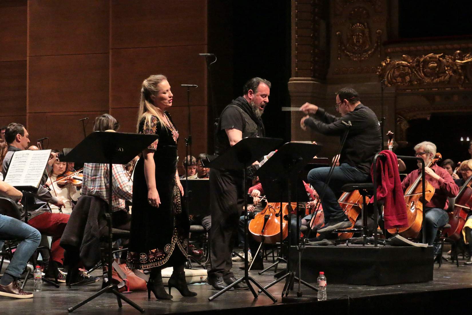 hamlet-opera-liceu.jpg