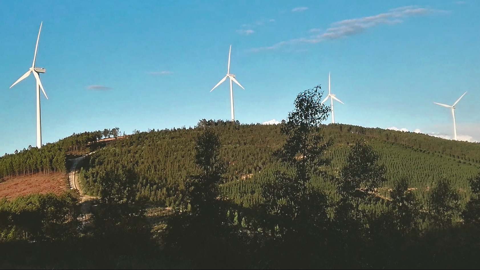 Activos de Saeta Yield.
