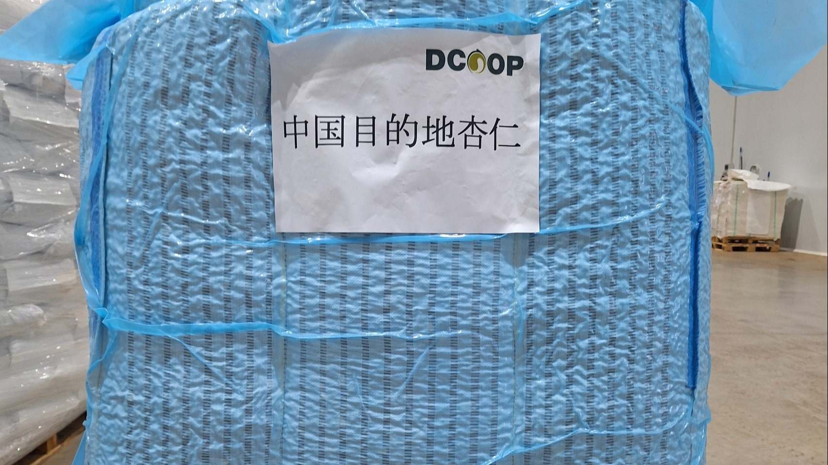 contenedor-dcoop-exportación-almendra-china