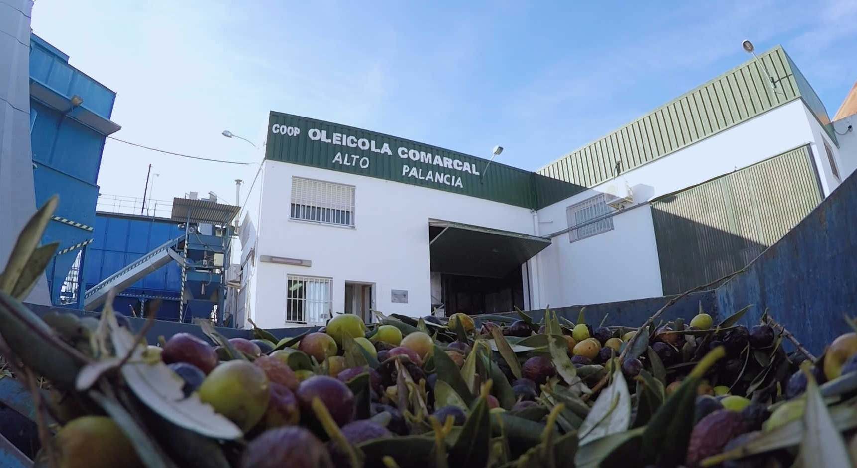 Una cooperativa de Castellón.