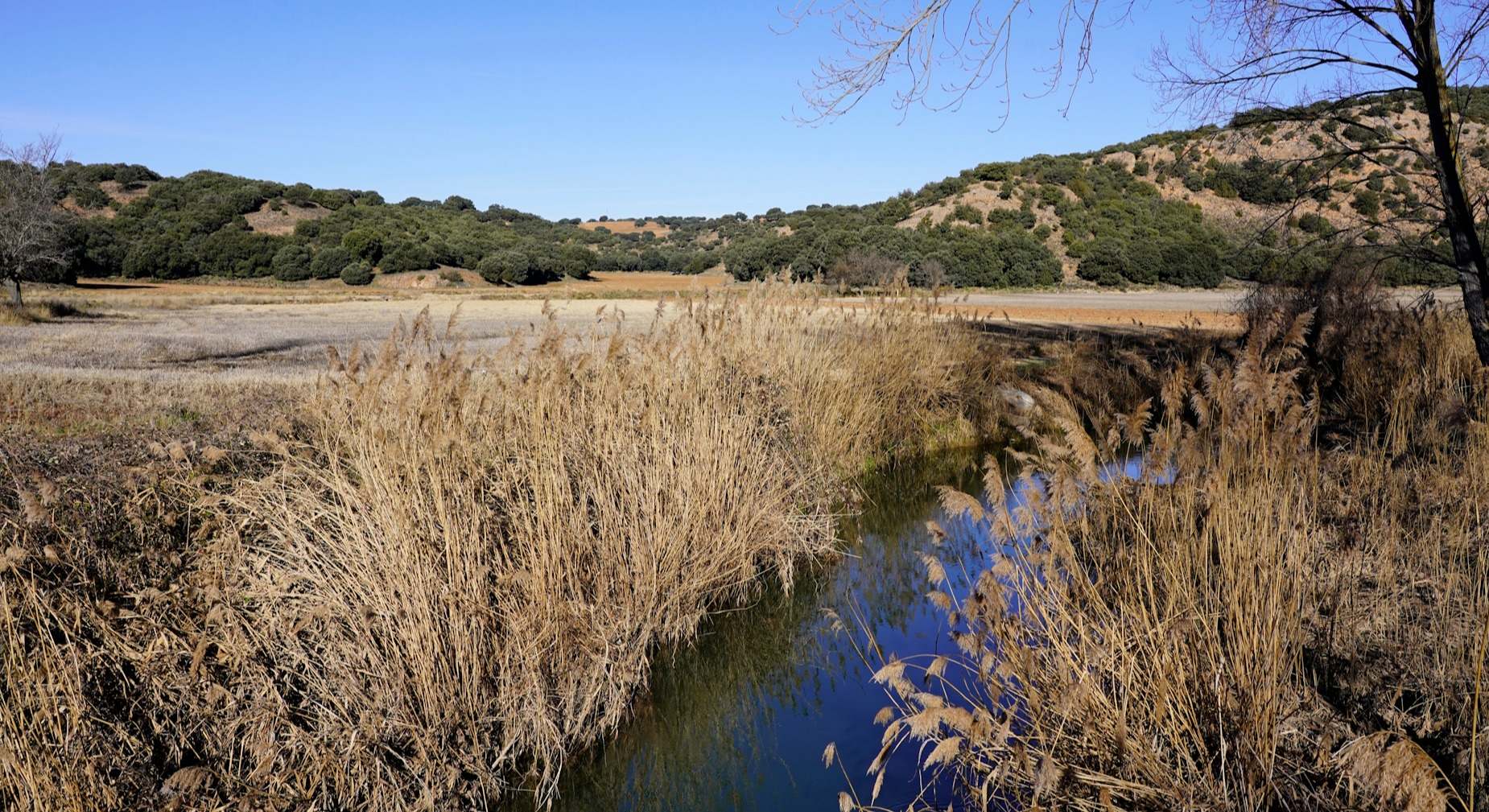 Entorno de ribera en el Río Dulce en Sigüenza (Guadalajara).