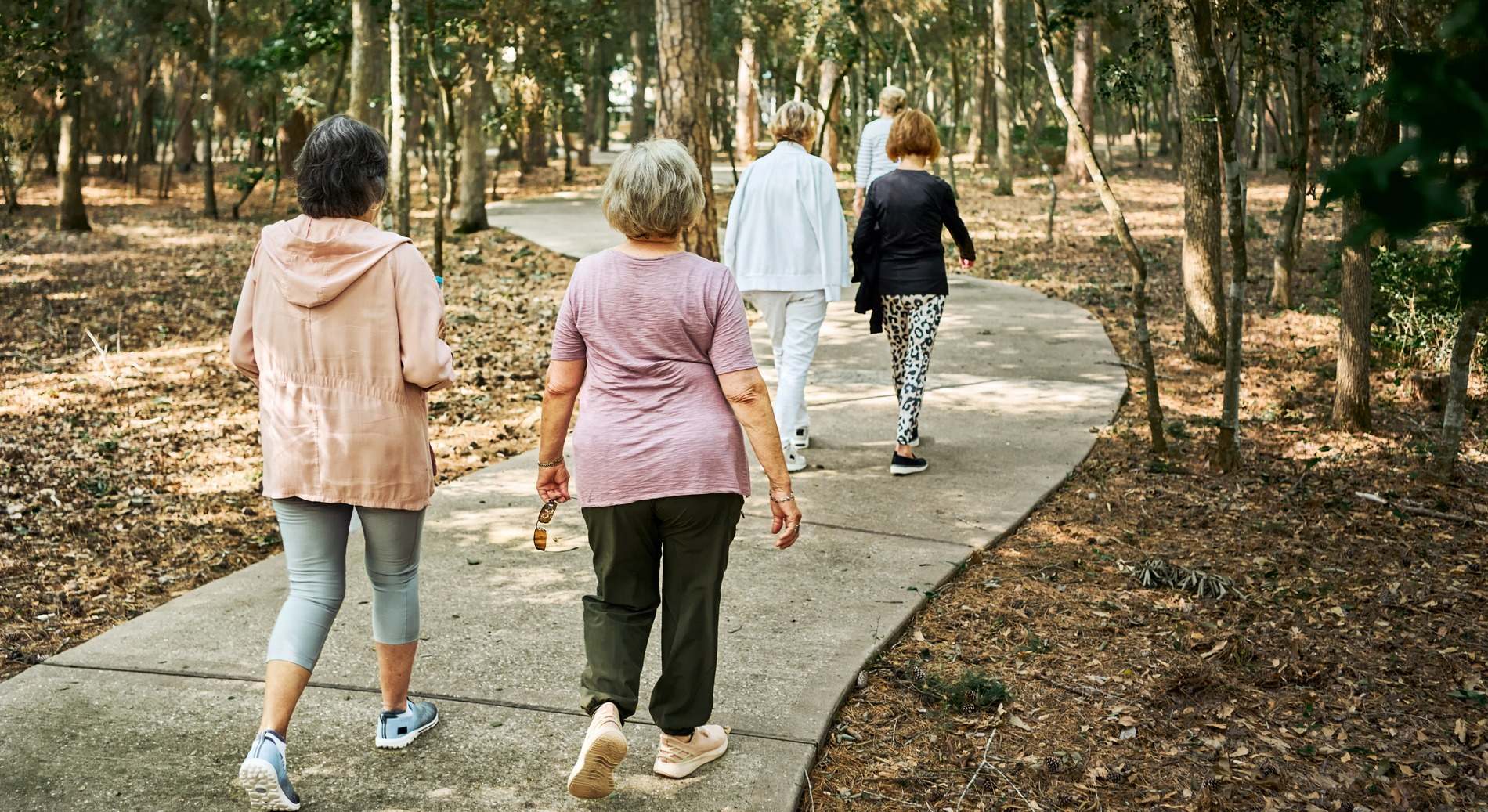 Grupo de señoras caminando por el parque