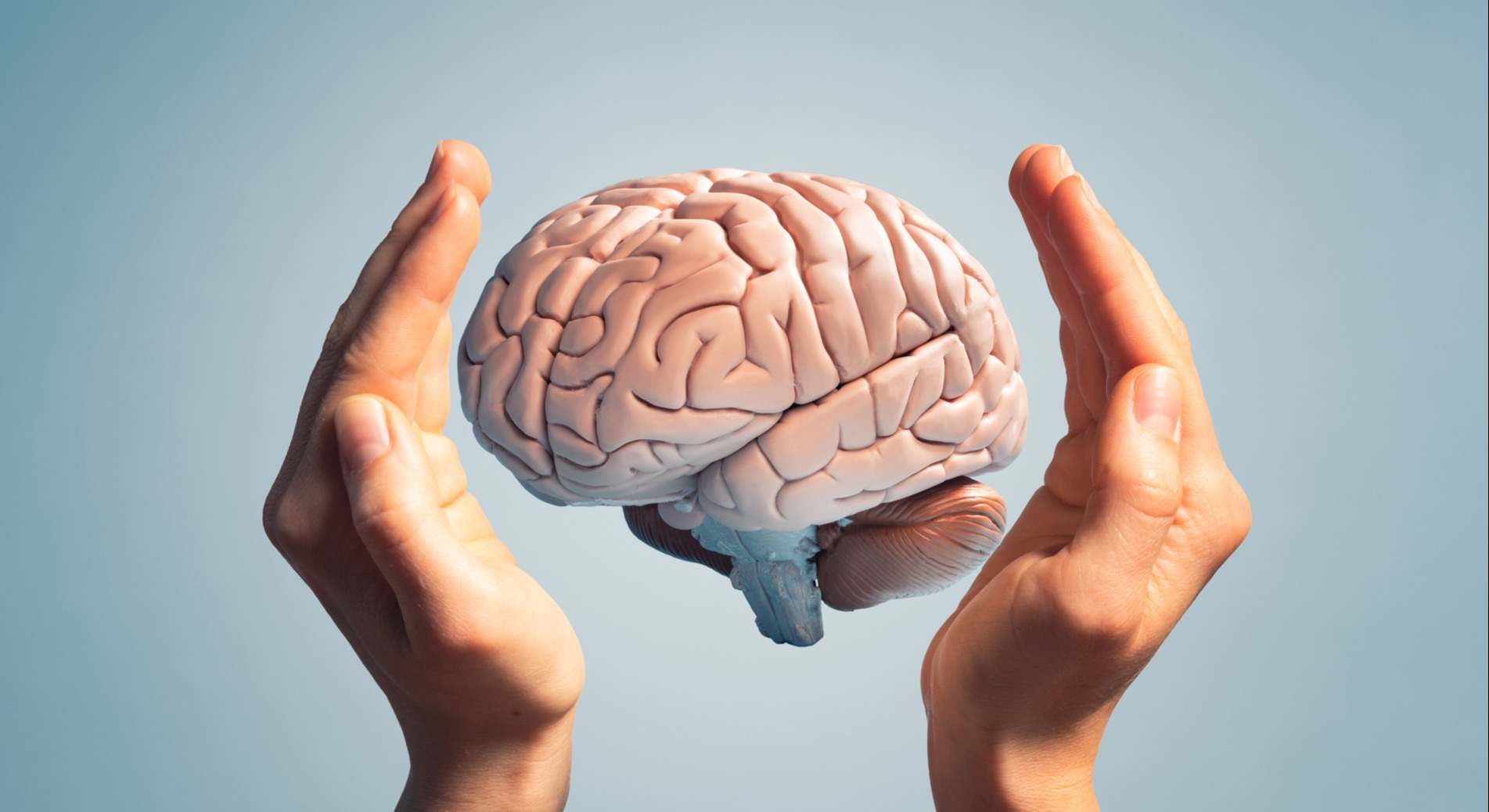 Cerebro
