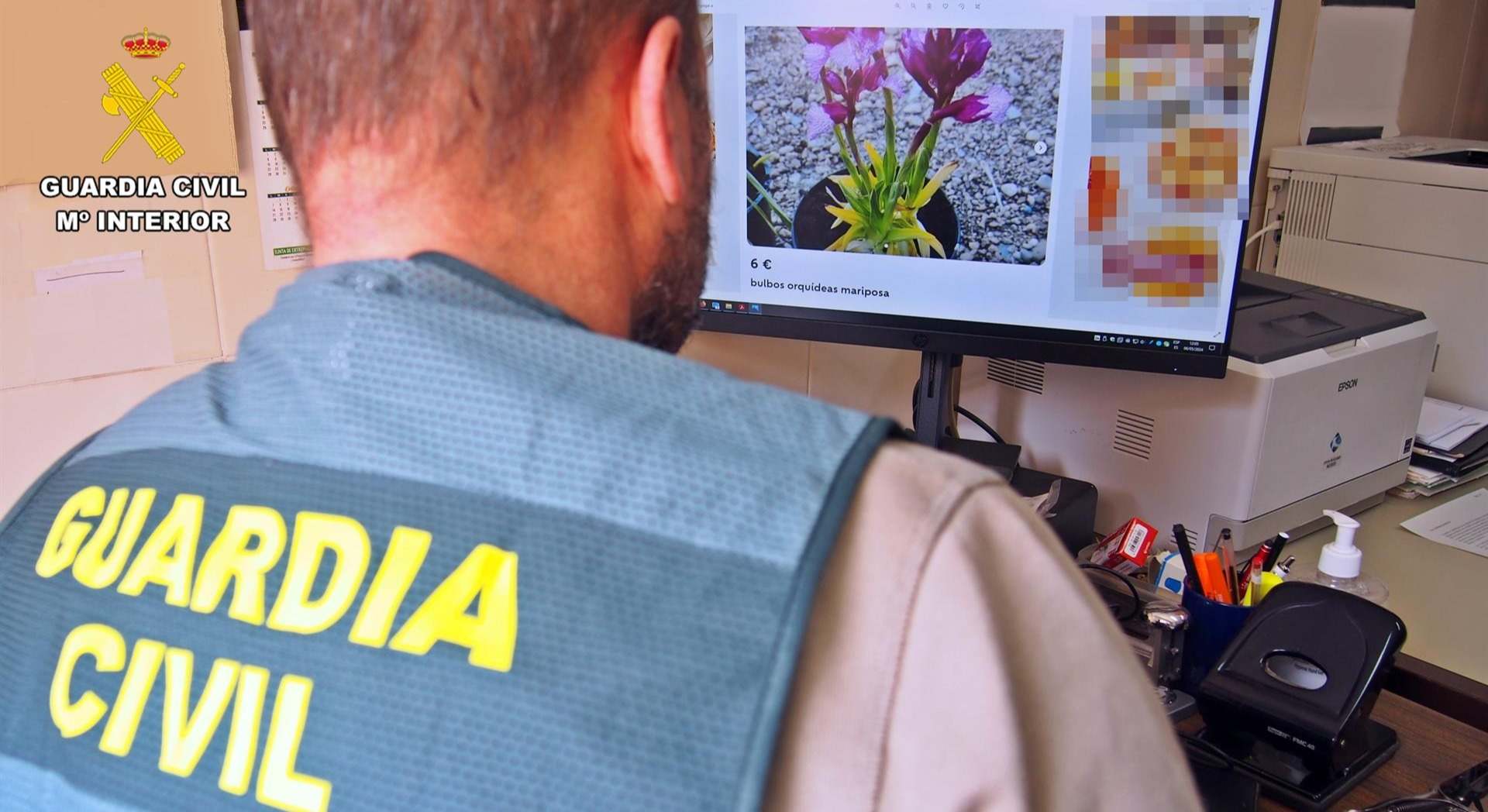 La Guardia Civil investiga la venta de flora por Internet
