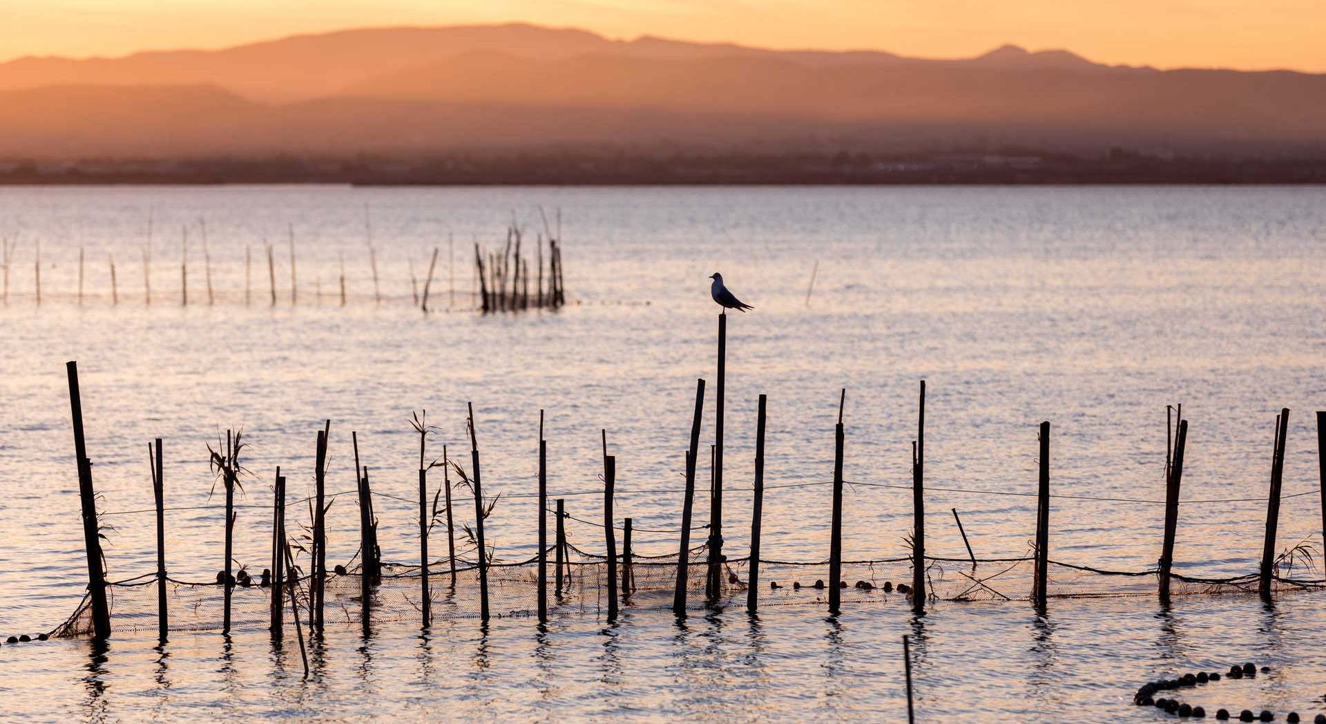 Atardecer en La Albufera de Valencia.