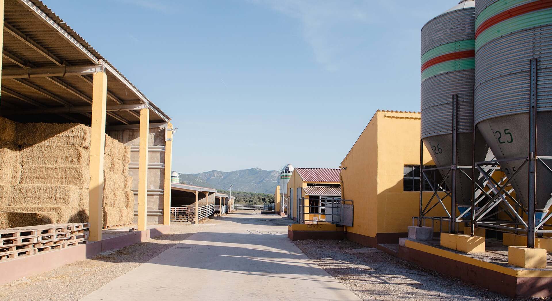 Instalaciones del grupo castellonense de piensos y porcino.