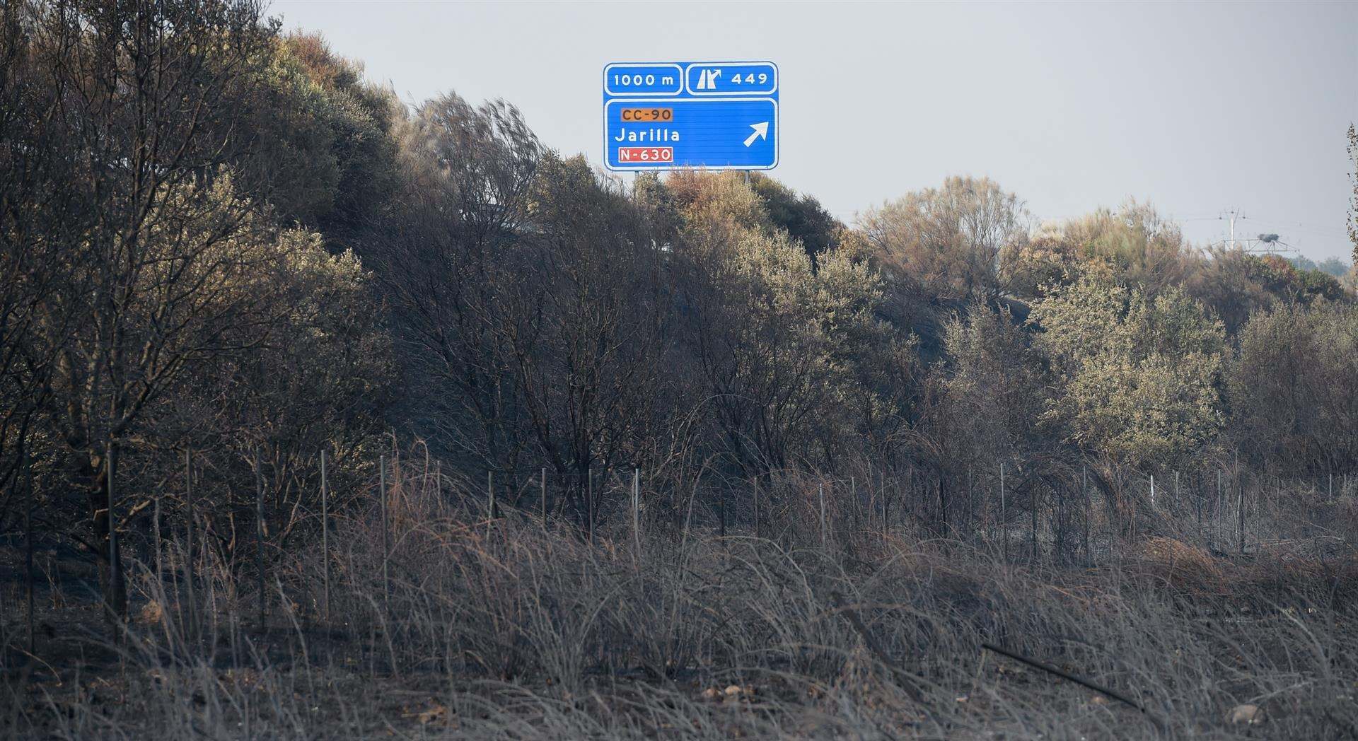 Campo quemado por el incendio en Jarilla (Cáceres)
