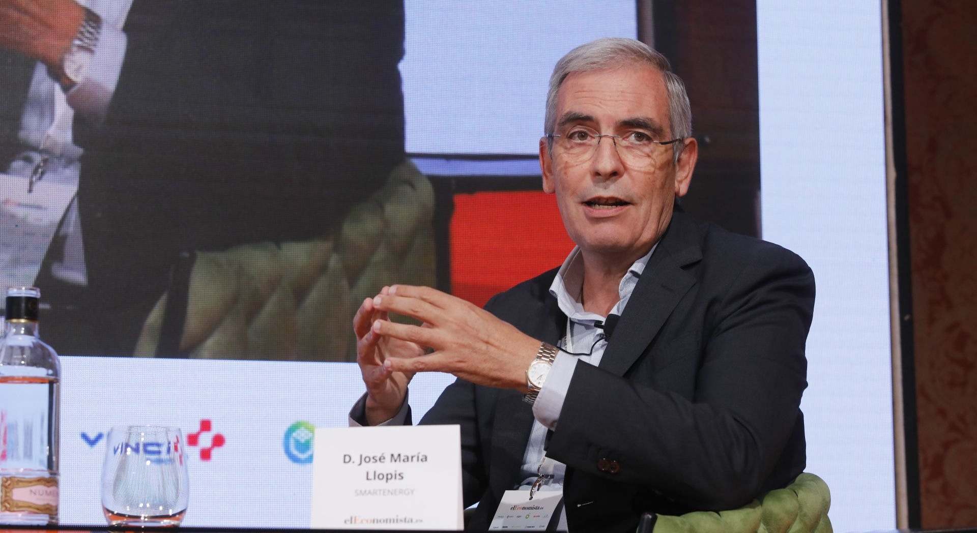 José María Llopis, consejero delegado de Edisun Power