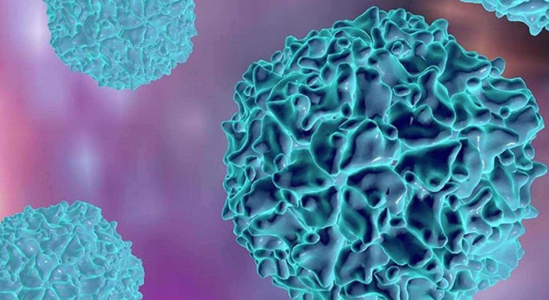 Virus de la poliomielitis de tipo 2 derivado de la vacuna cVDPV2