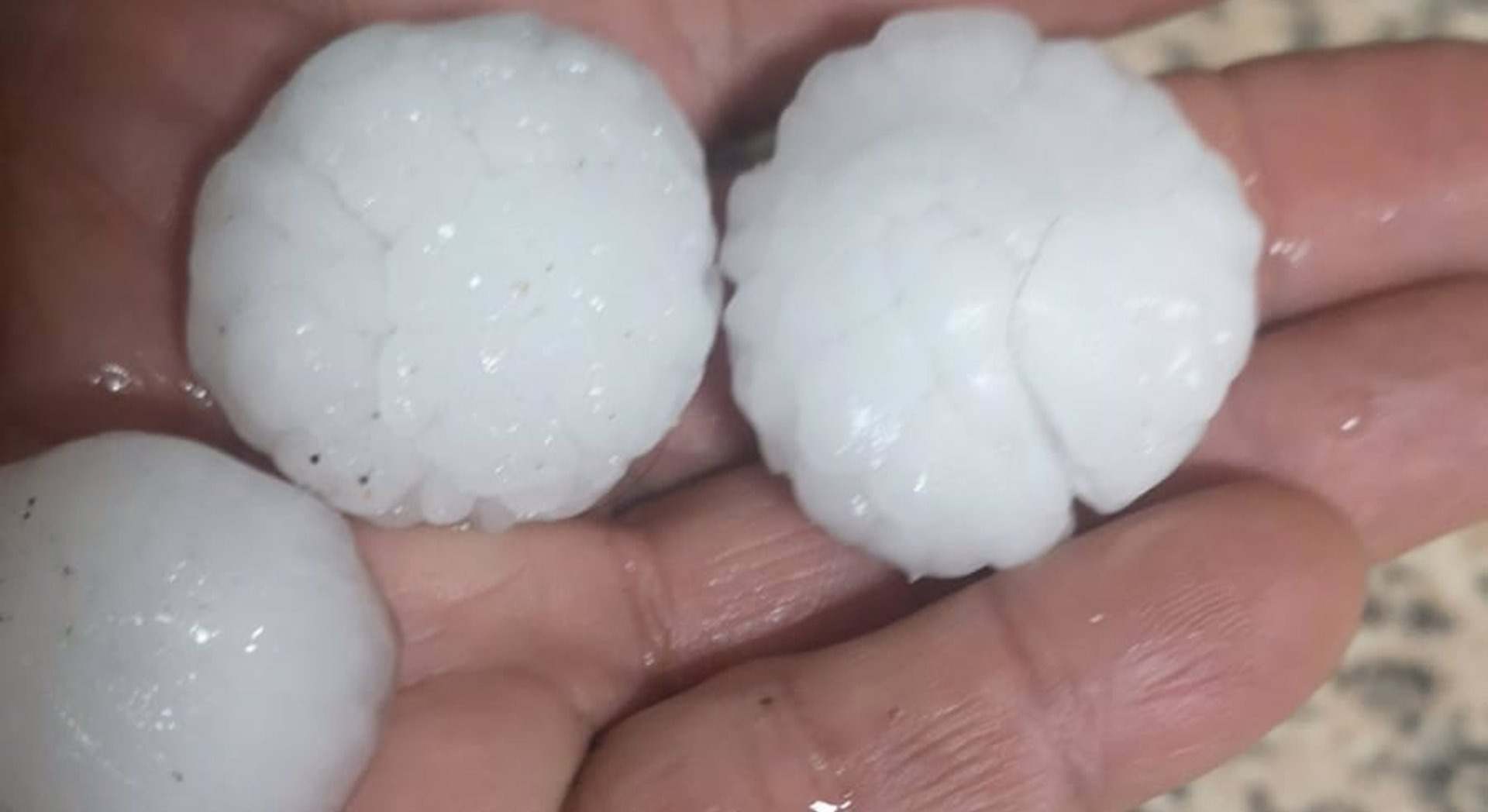 Granizo caído en cerezos - UPA-UCE