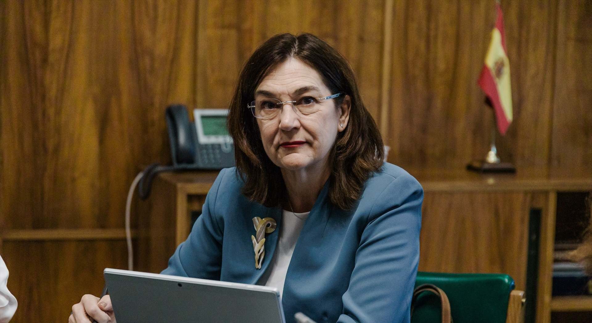 La presidenta de la Comisión Nacional de los Mercados y la Competencia (CNMC), Cani Fernández. / Europa Press