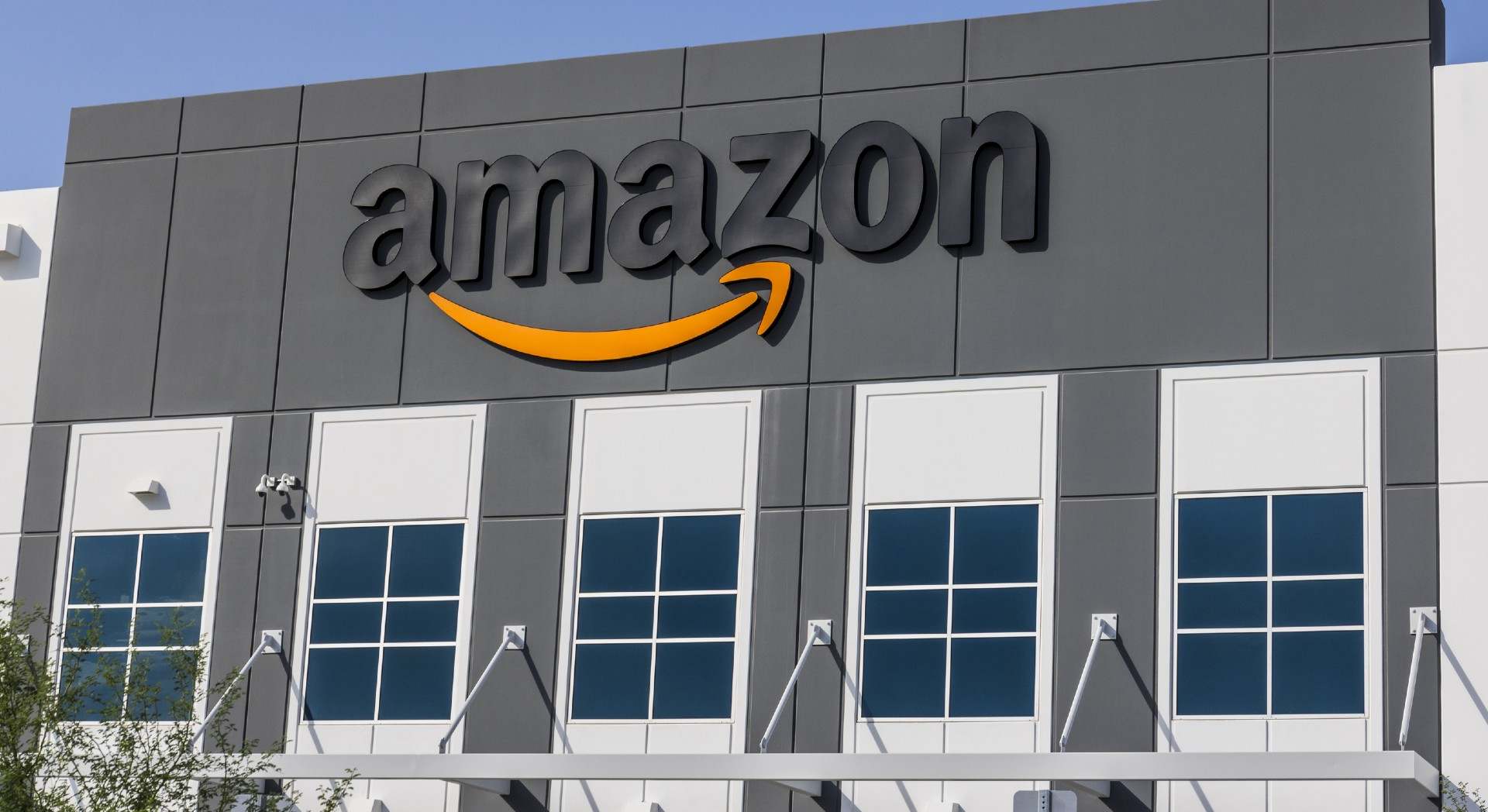 Amazon-Arm.jpg