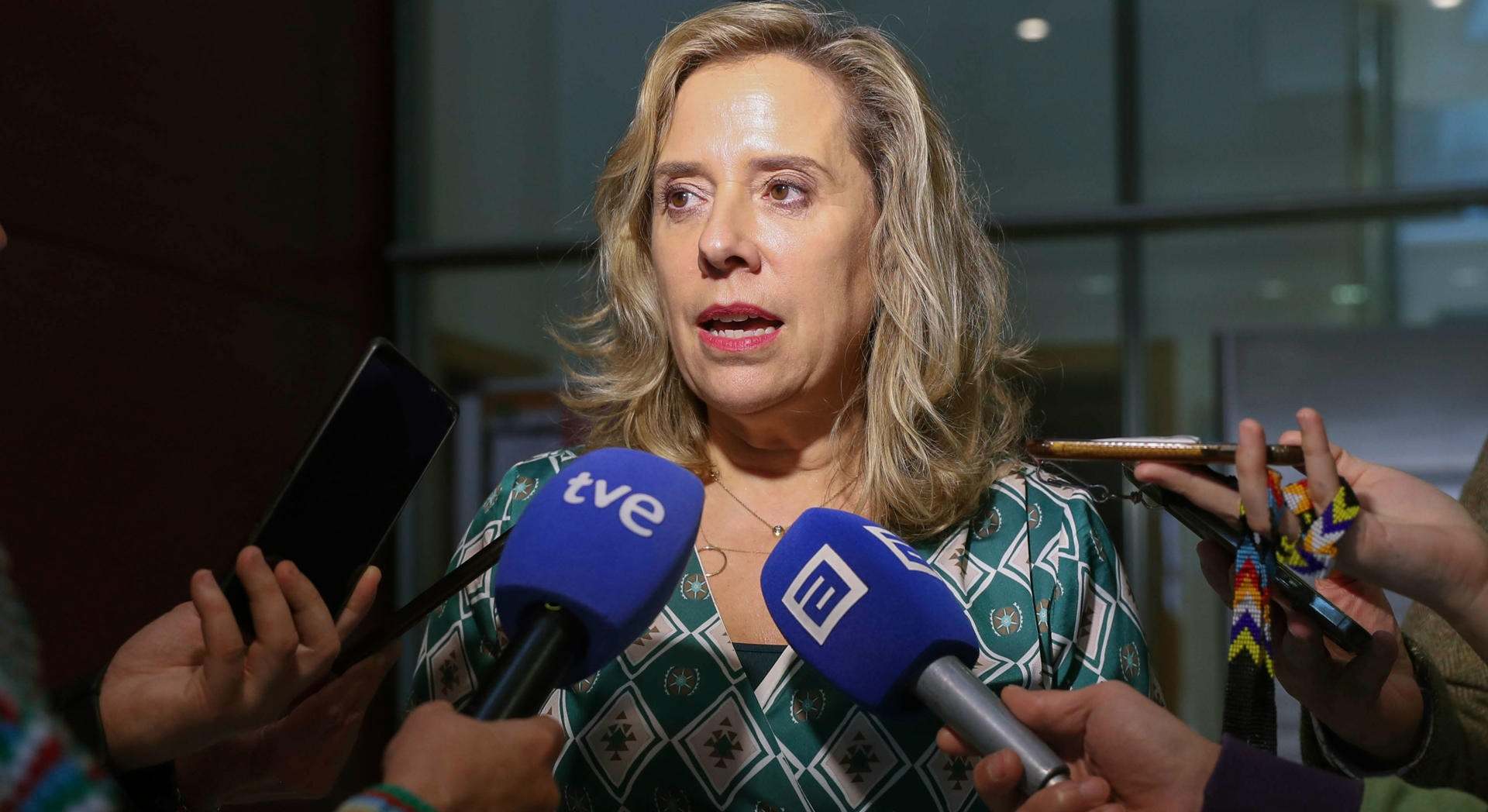 La consejera de Transición Ecológica, Industria y Comercio, Belarmina Díaz.