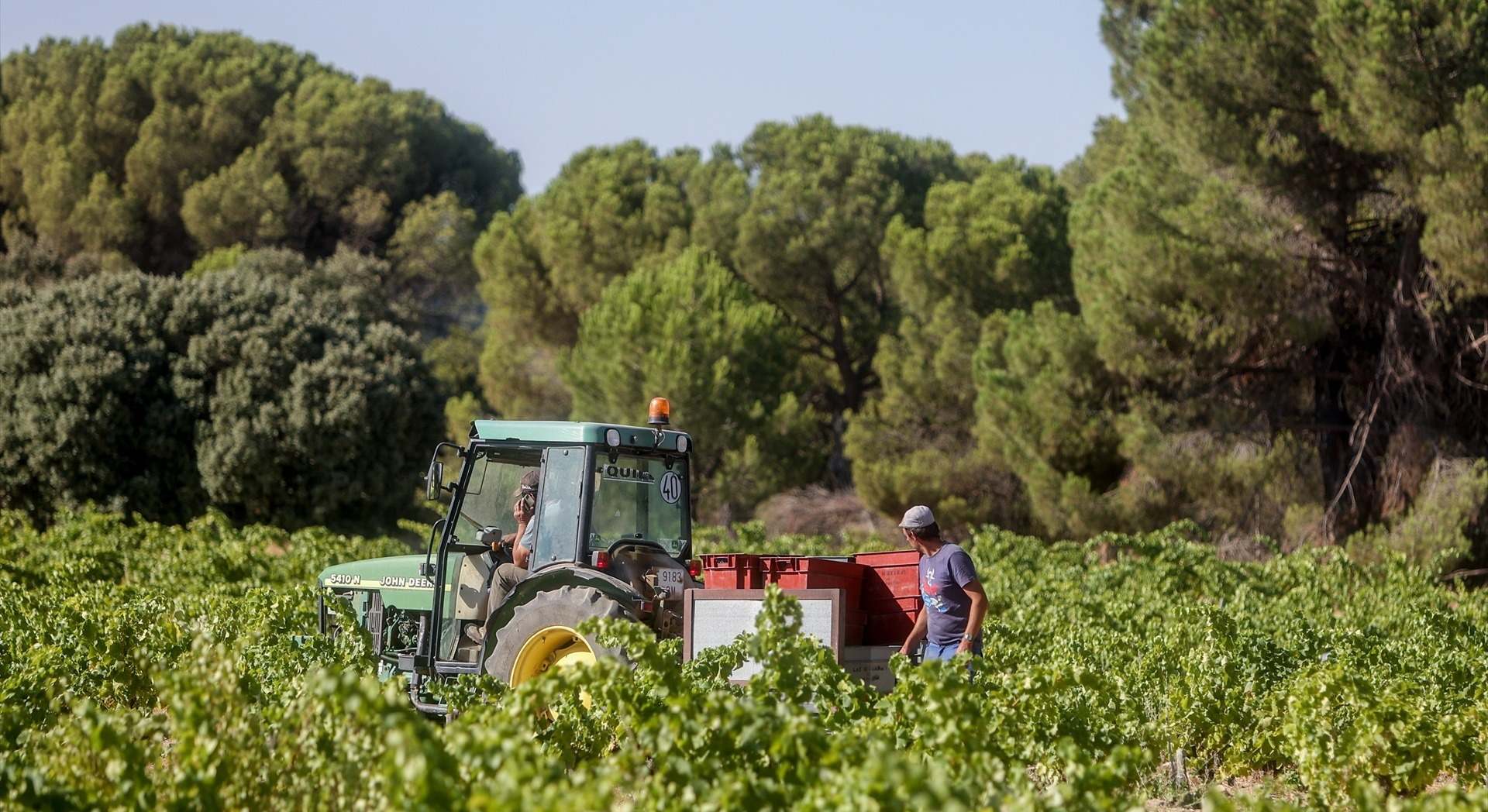 agroalimentario