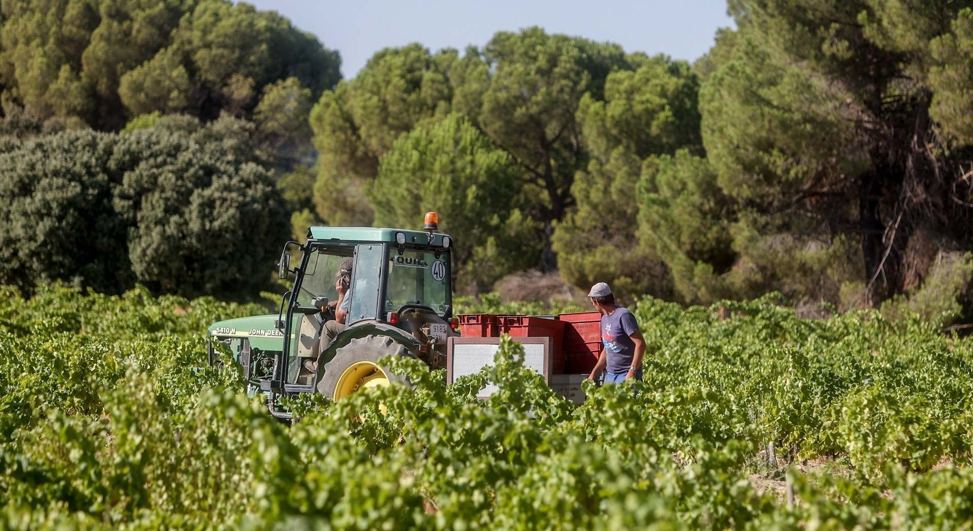 Agricultores