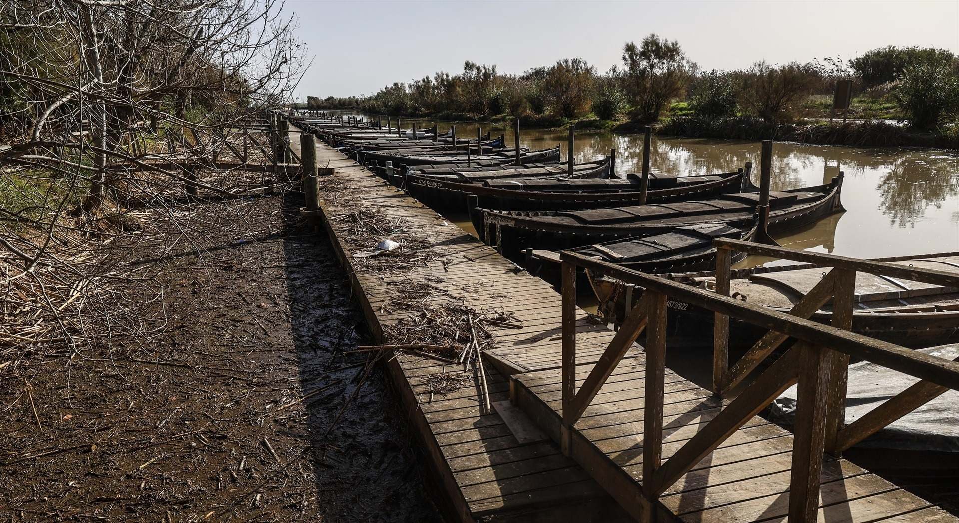 Restos de la dana en el puerto de Catarroja de l'Albufera