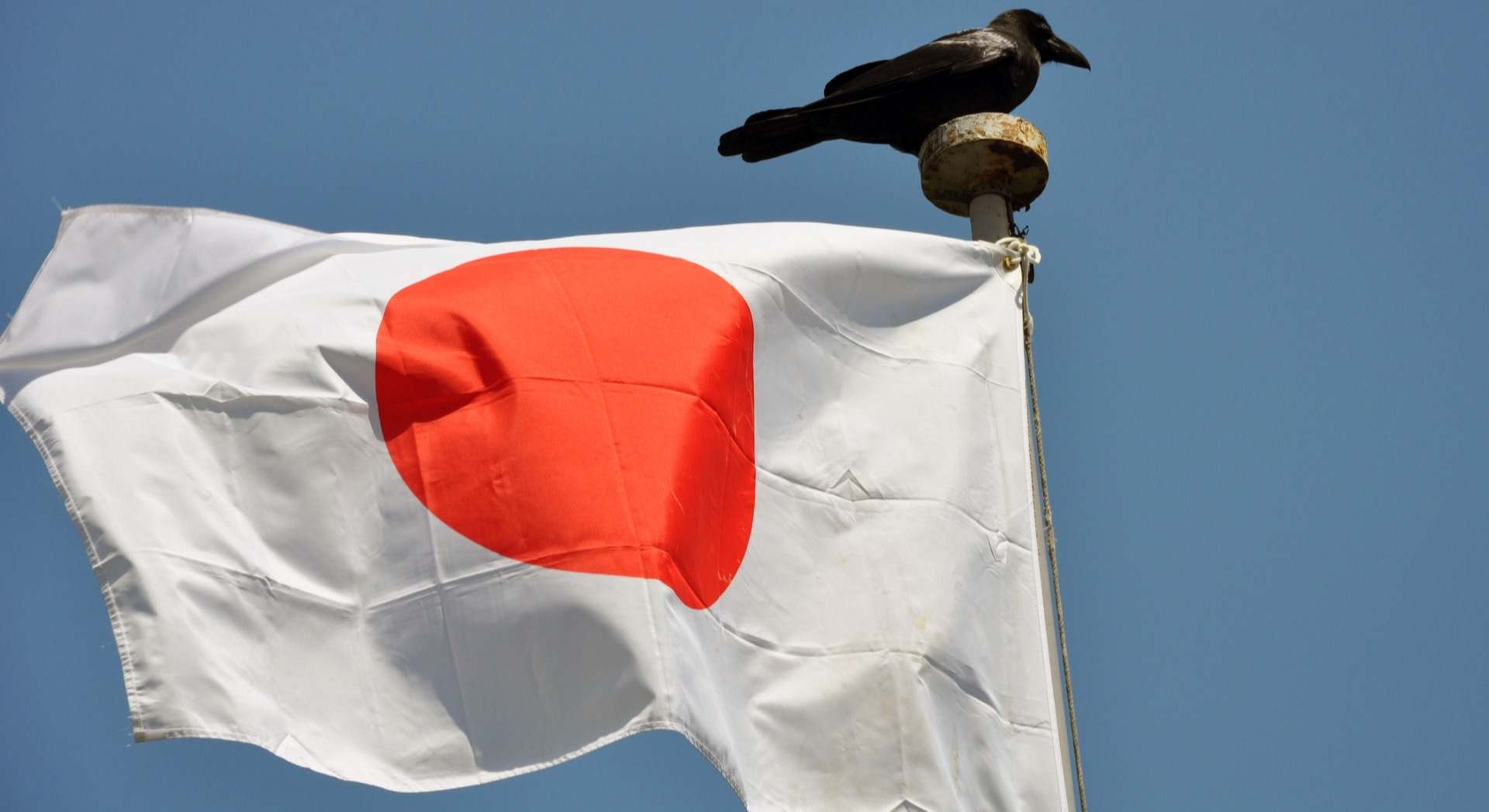 Un cuervo sobre la bandera de Japón