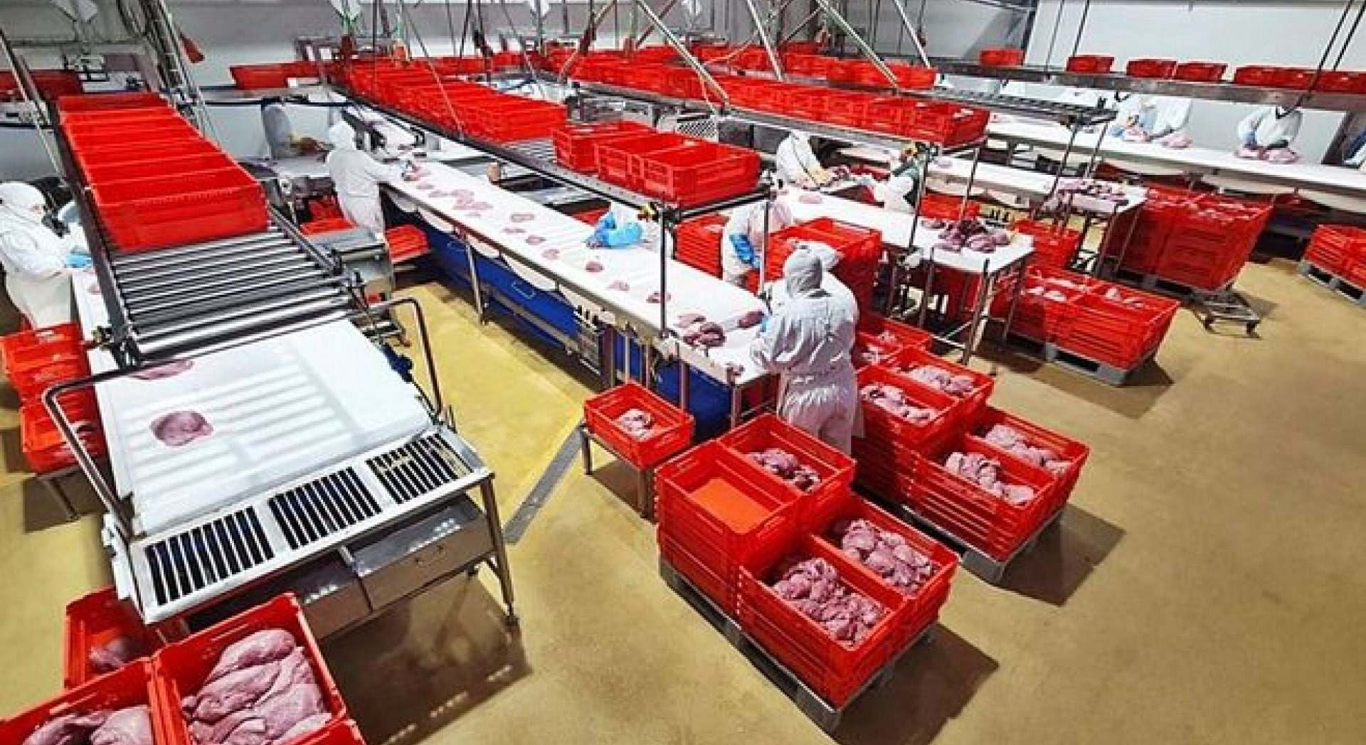 Instalaciones de Facssa Prolongo.