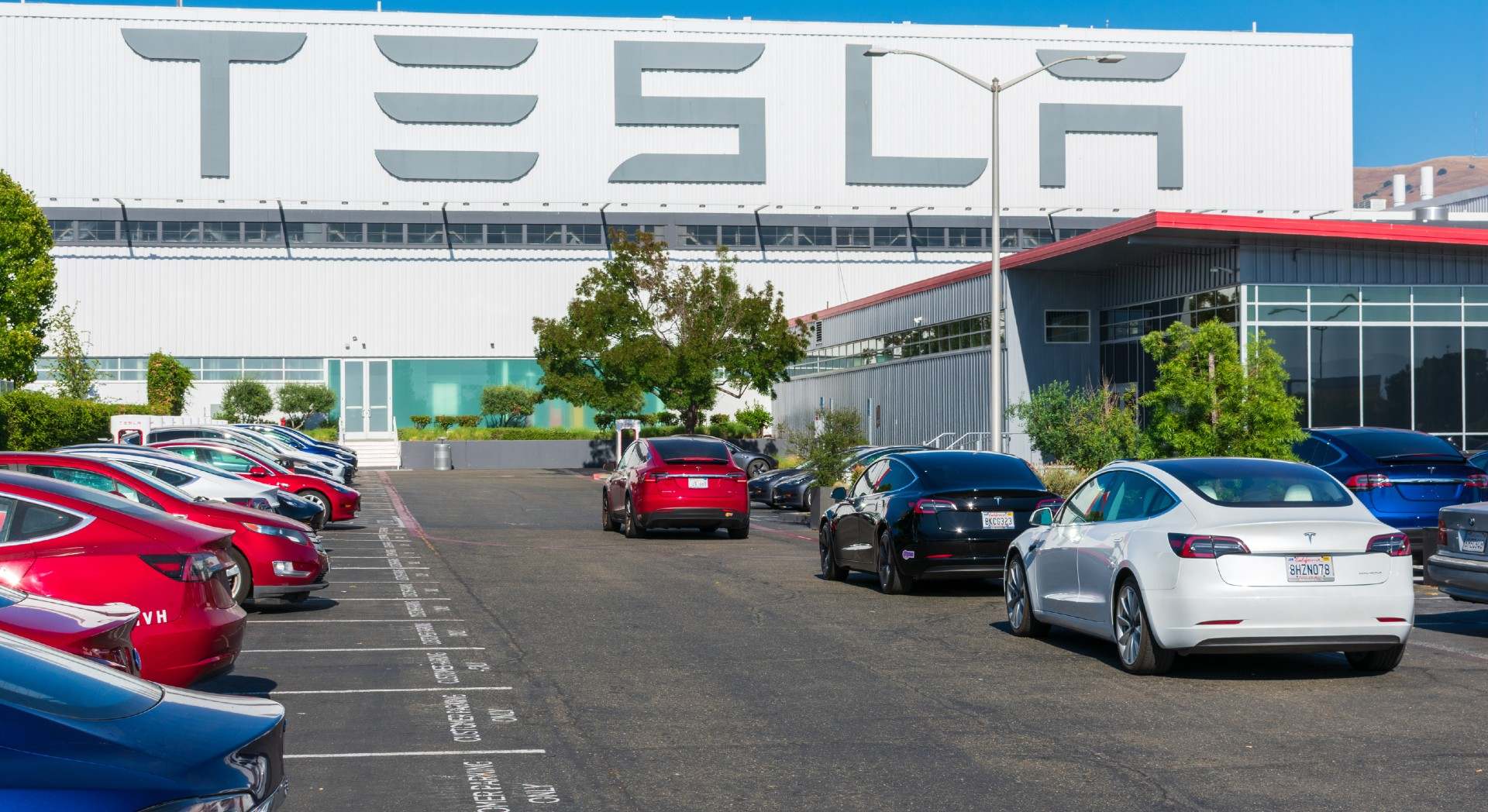 tesla.jpg