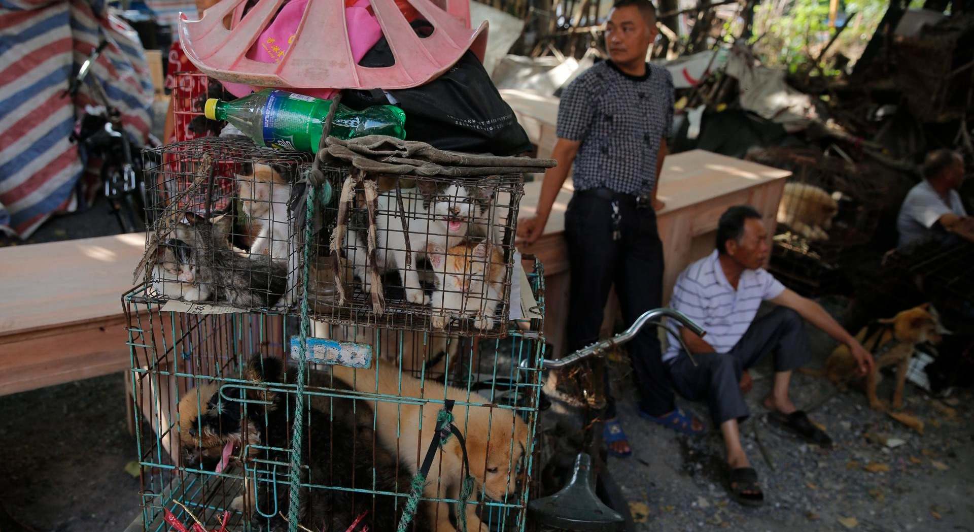 Unos vendedores junto a varios perros y gatos metidos en jaulas en un mercado chino, en una imagen de archivo. EFE/Wu Hong