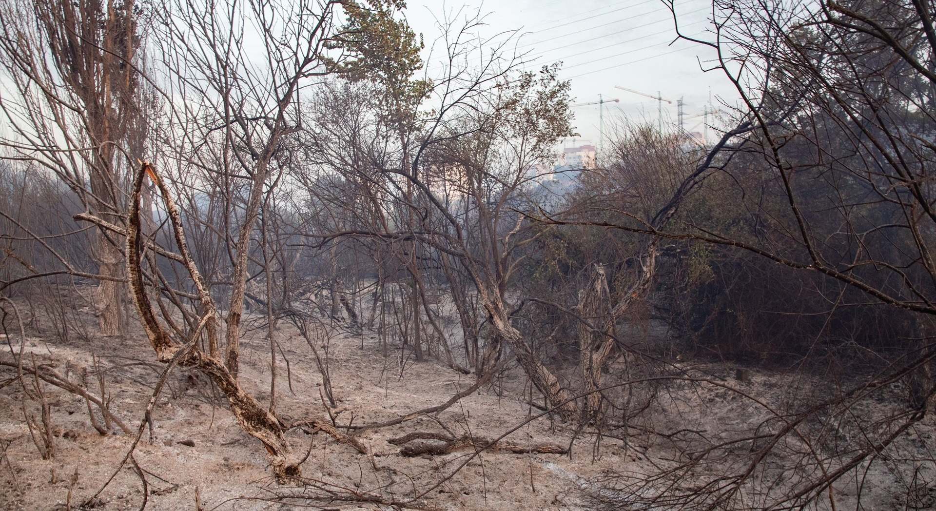 Incendio