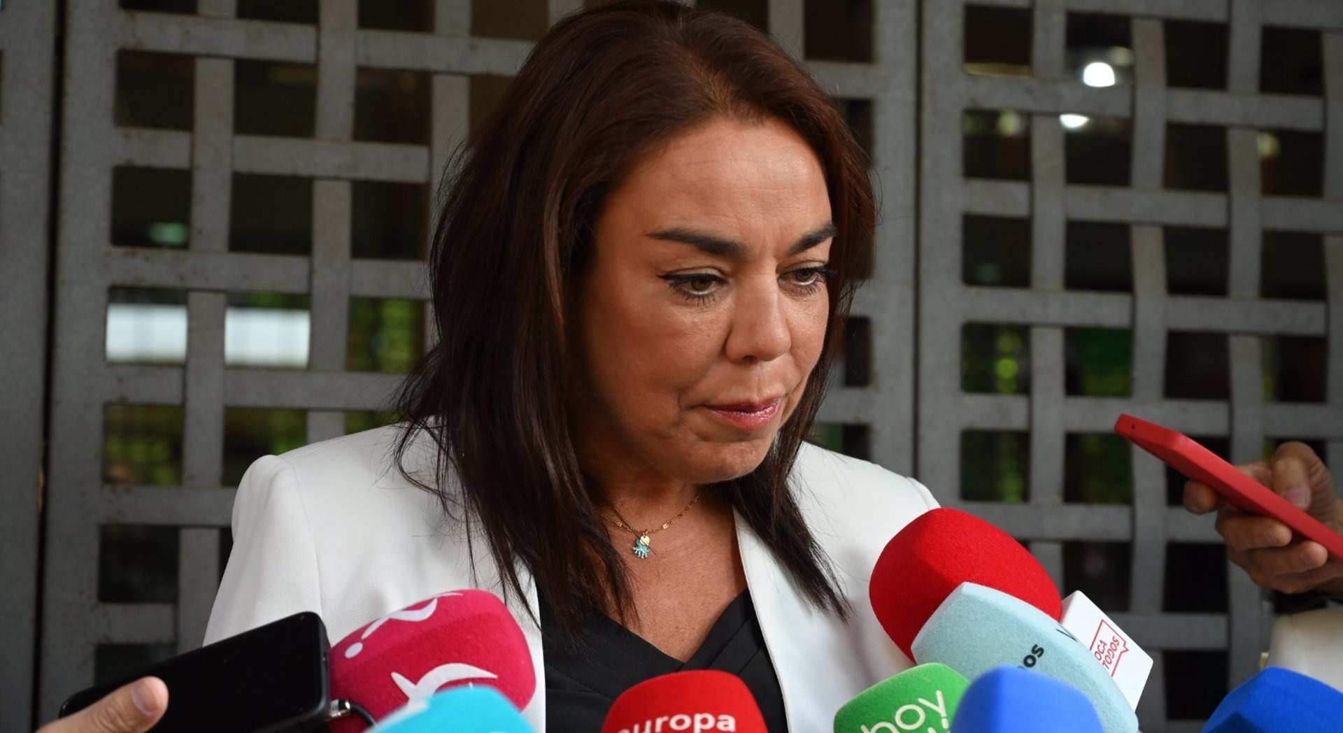 La abogada de la acusación popular de la Asociación Clara Campoamor, Patricia Catalina, atiende a los medios a la llegada al juicio por el asesinato de Manuela Chavero