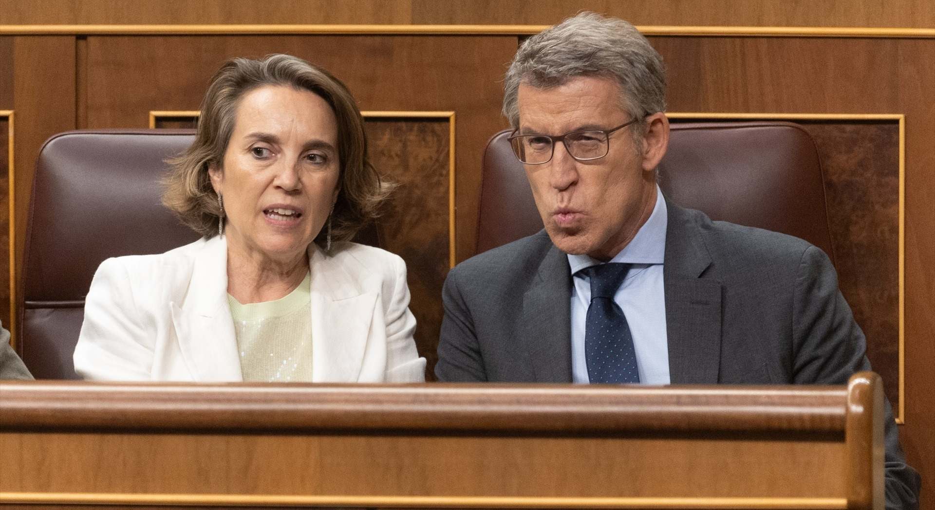 Alberto Núñez Feijóo, junto a la secretaria general del PP, Cuca Gamarra, en la bancada popular en el Congreso | EP