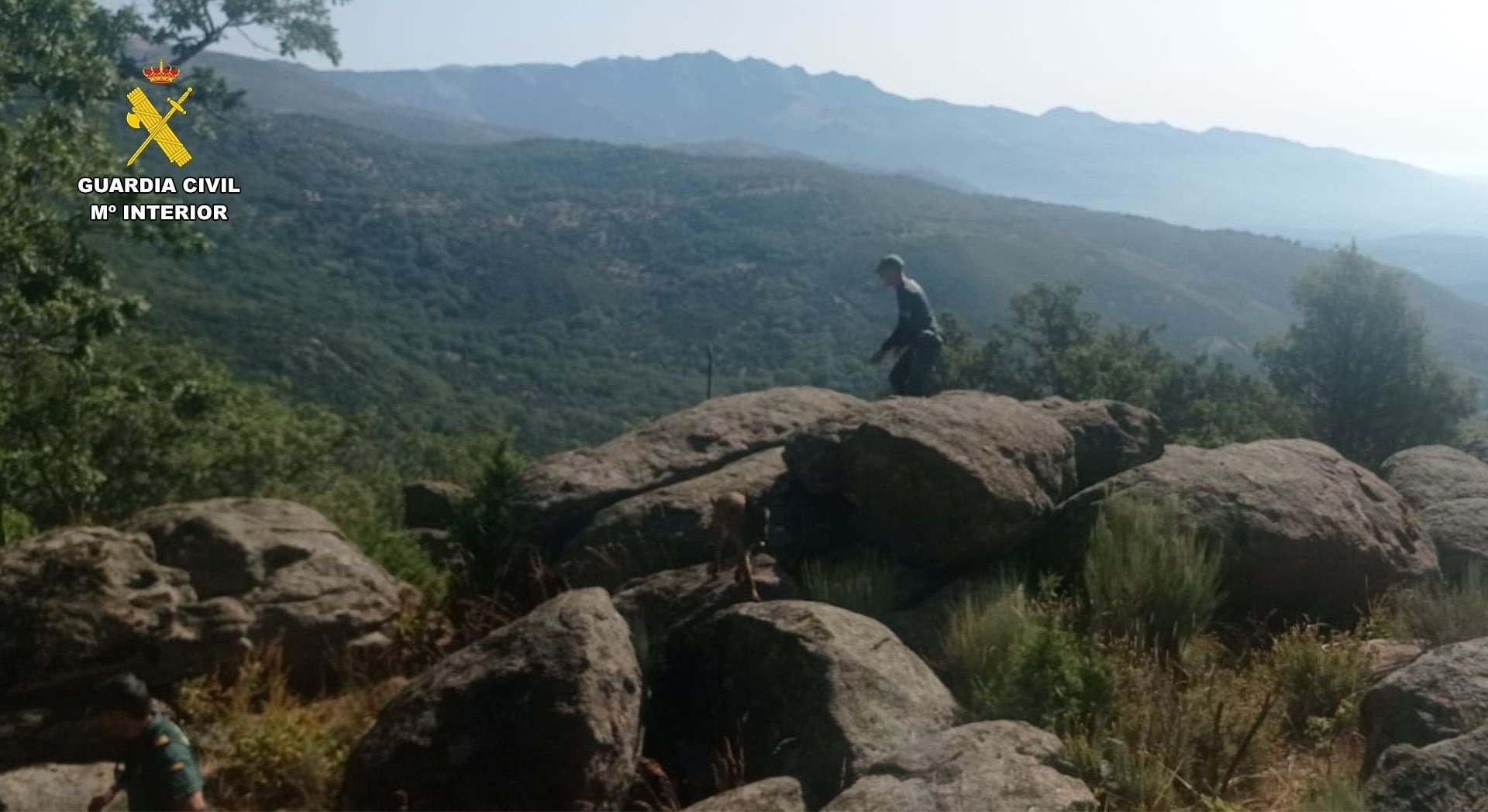 Paraje de Villanueva de la Vera.