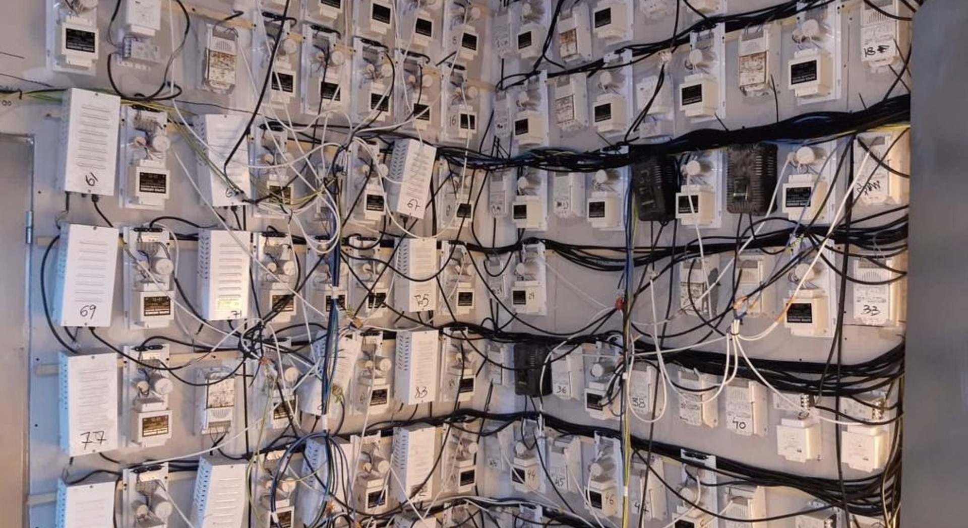 Fraude Luz