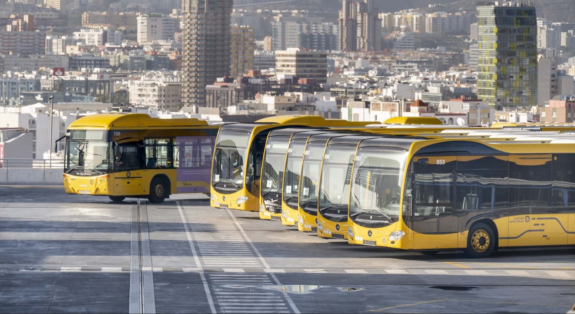 Guaguas municipales de Las Palmas de Gran Canaria