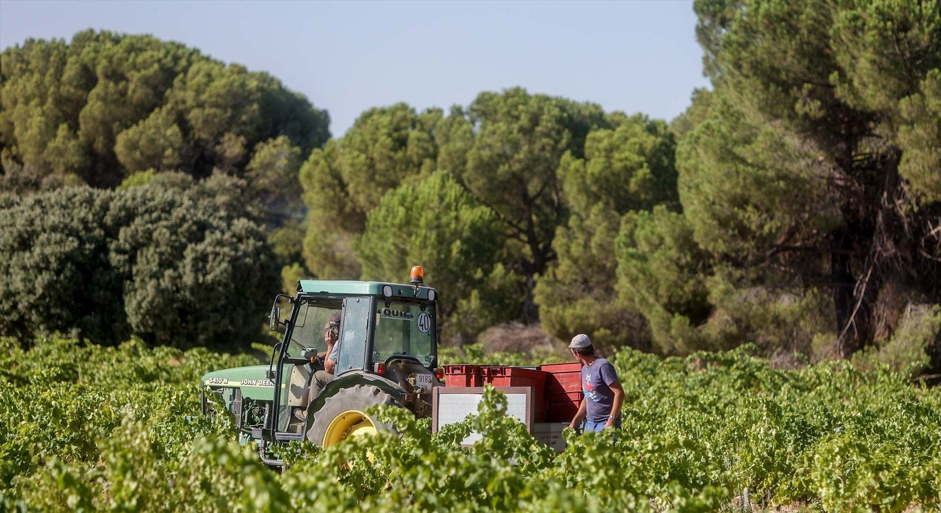 agricultura