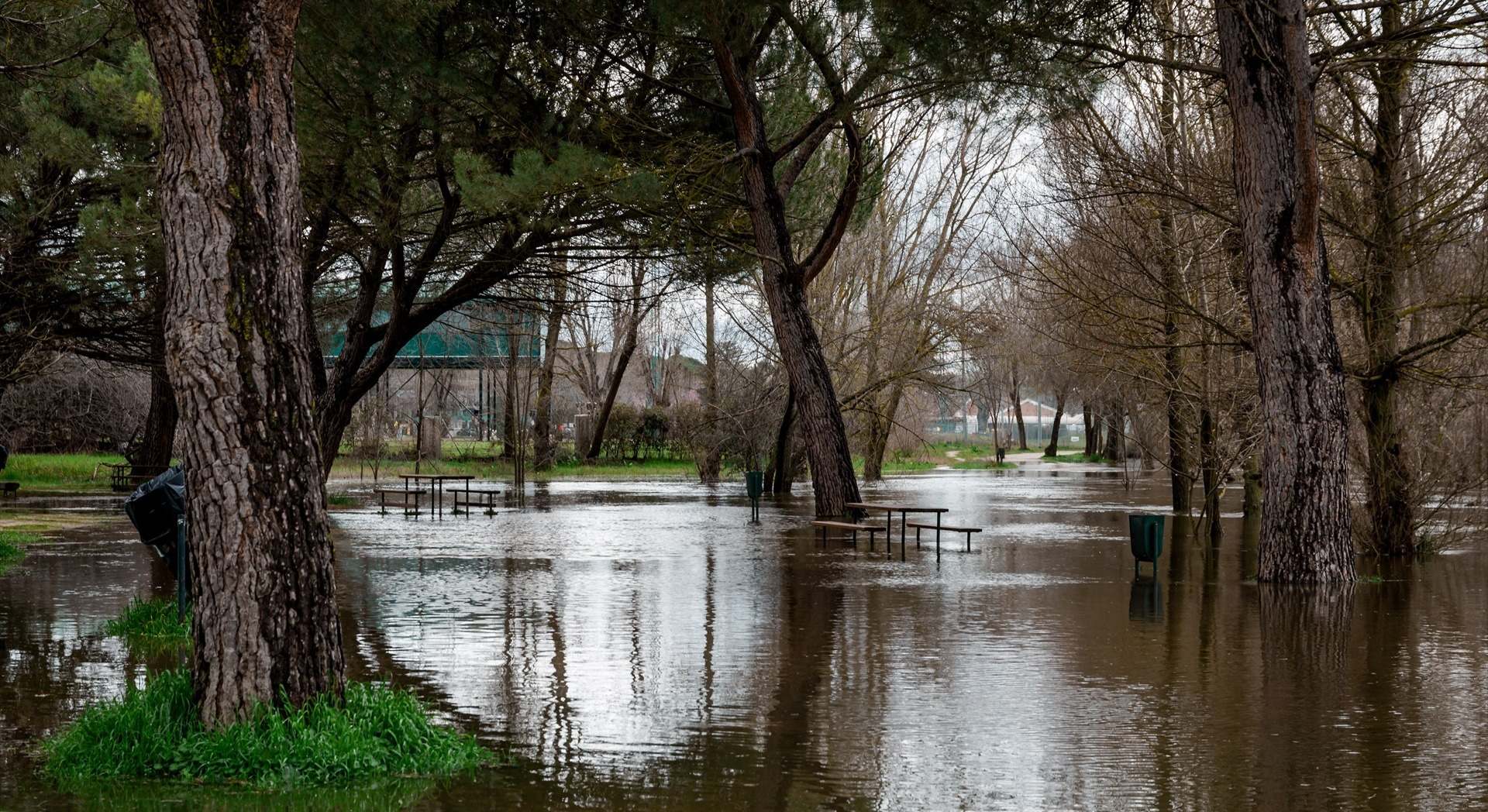 La crecida del río Manzanares en el parking de Somontes, a la altura del Arroyo Trofa y de El Pardo