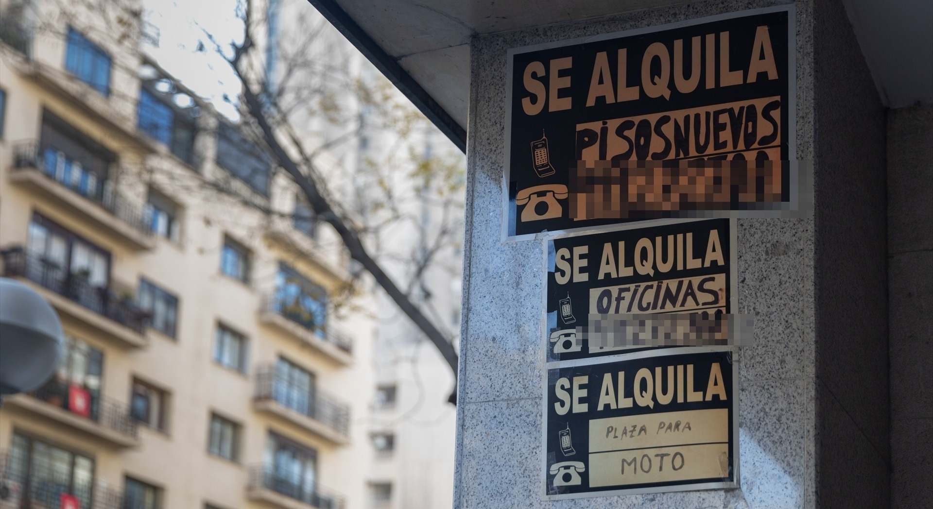 Imagen de un cartel en el que se anuncian pisos en alquiler.
