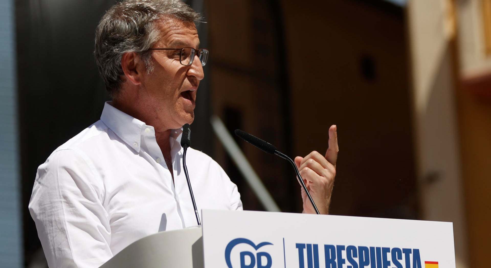 El líder del PP, Alberto Núñez Feijóo | EFE