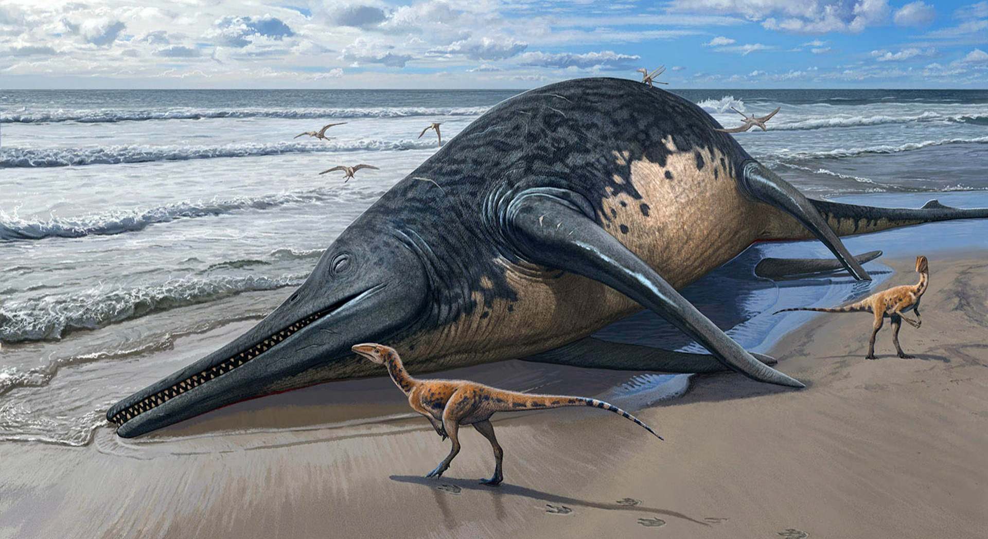 Ichthyotitan severnensis
