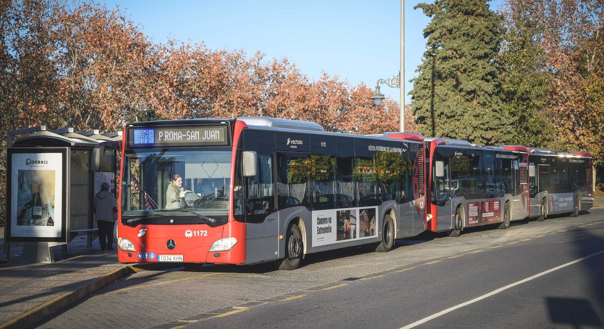Autobús urbano en Mérida